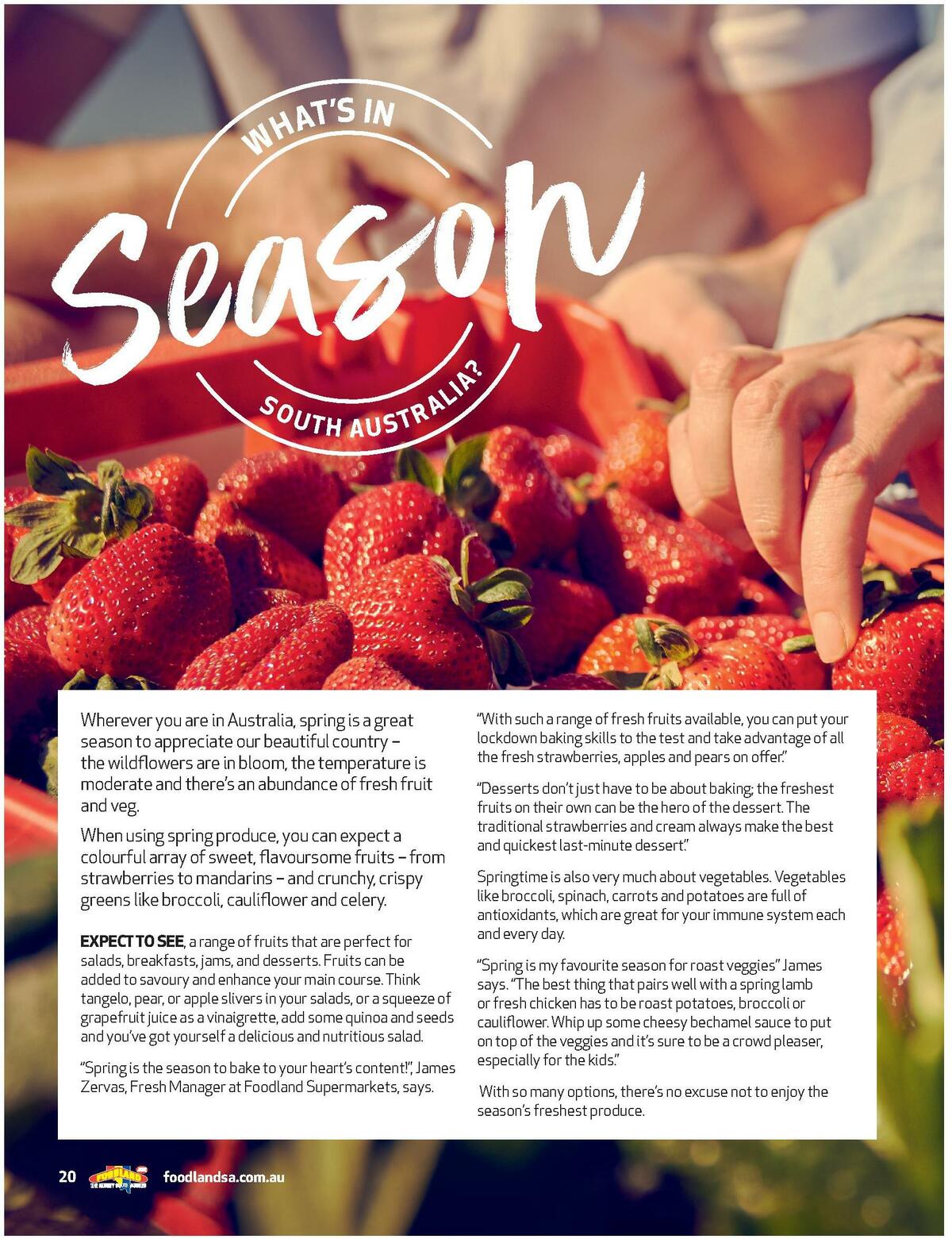 Foodland Magazine Spring Catalogues from 10 October