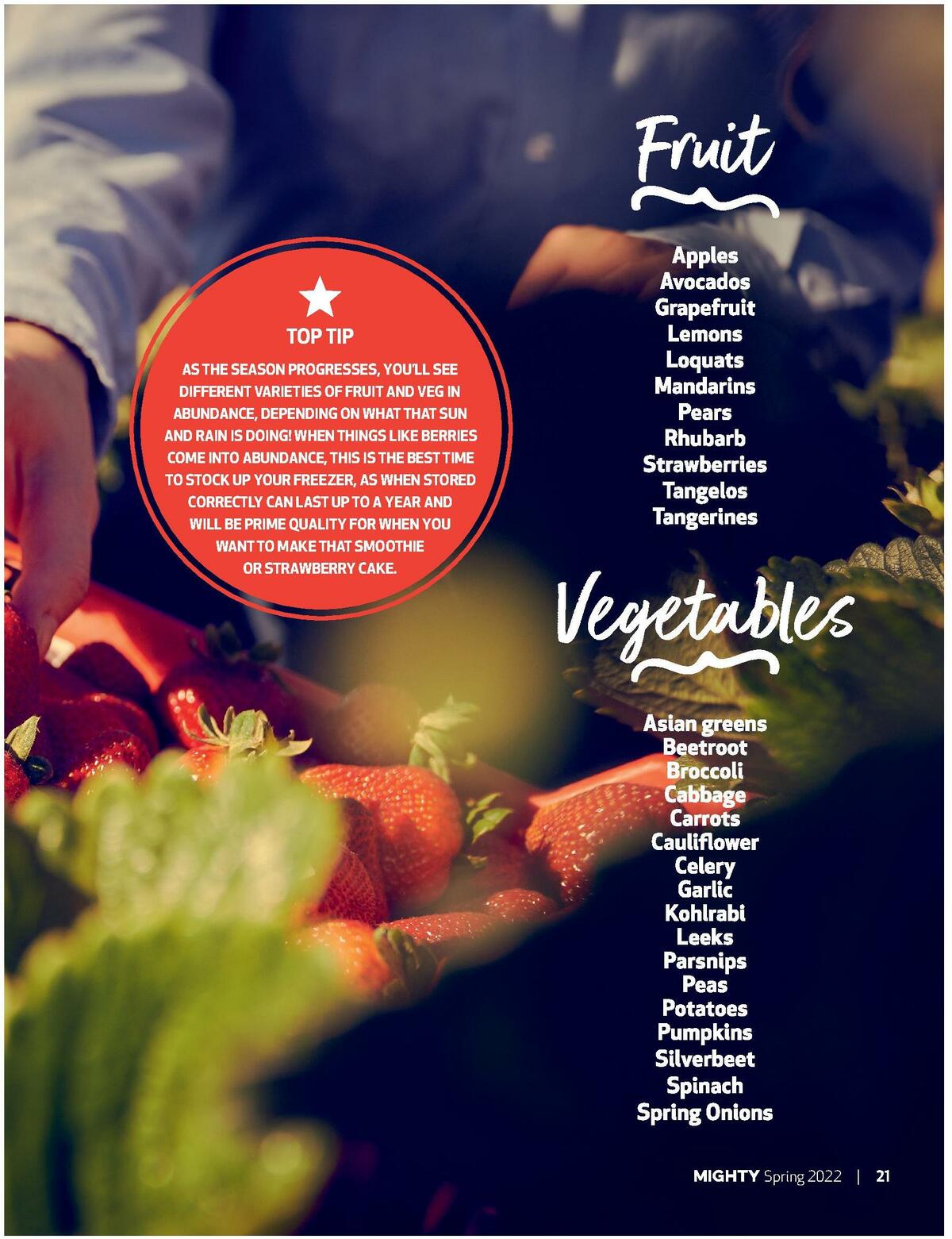 Foodland Magazine Spring Catalogues from 10 October