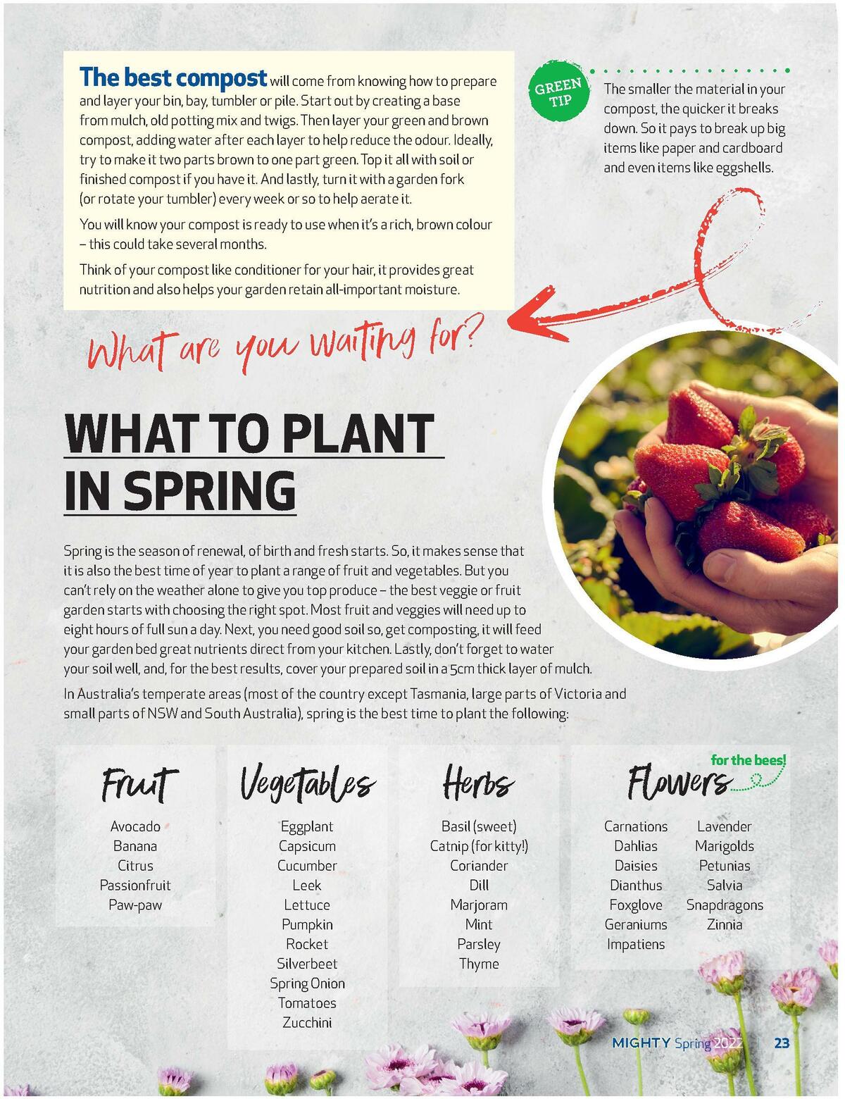 Foodland Magazine Spring Catalogues from 10 October