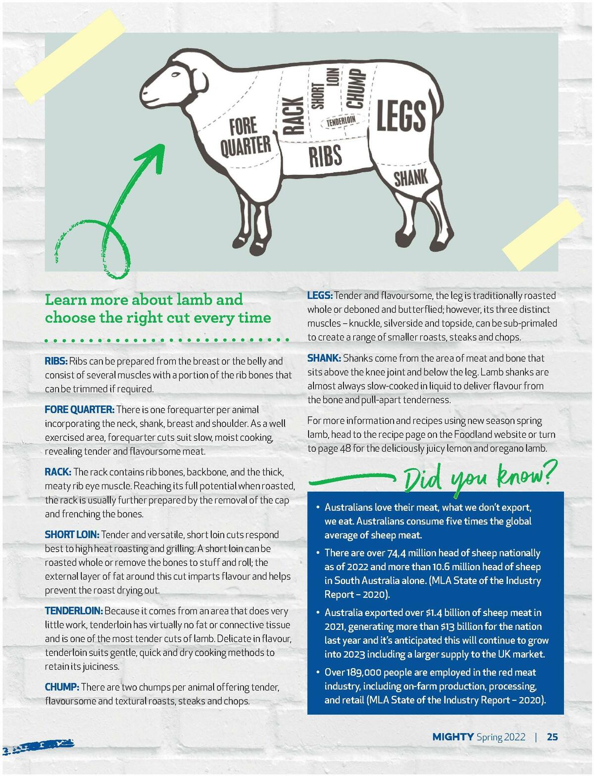 Foodland Magazine Spring Catalogues from 10 October