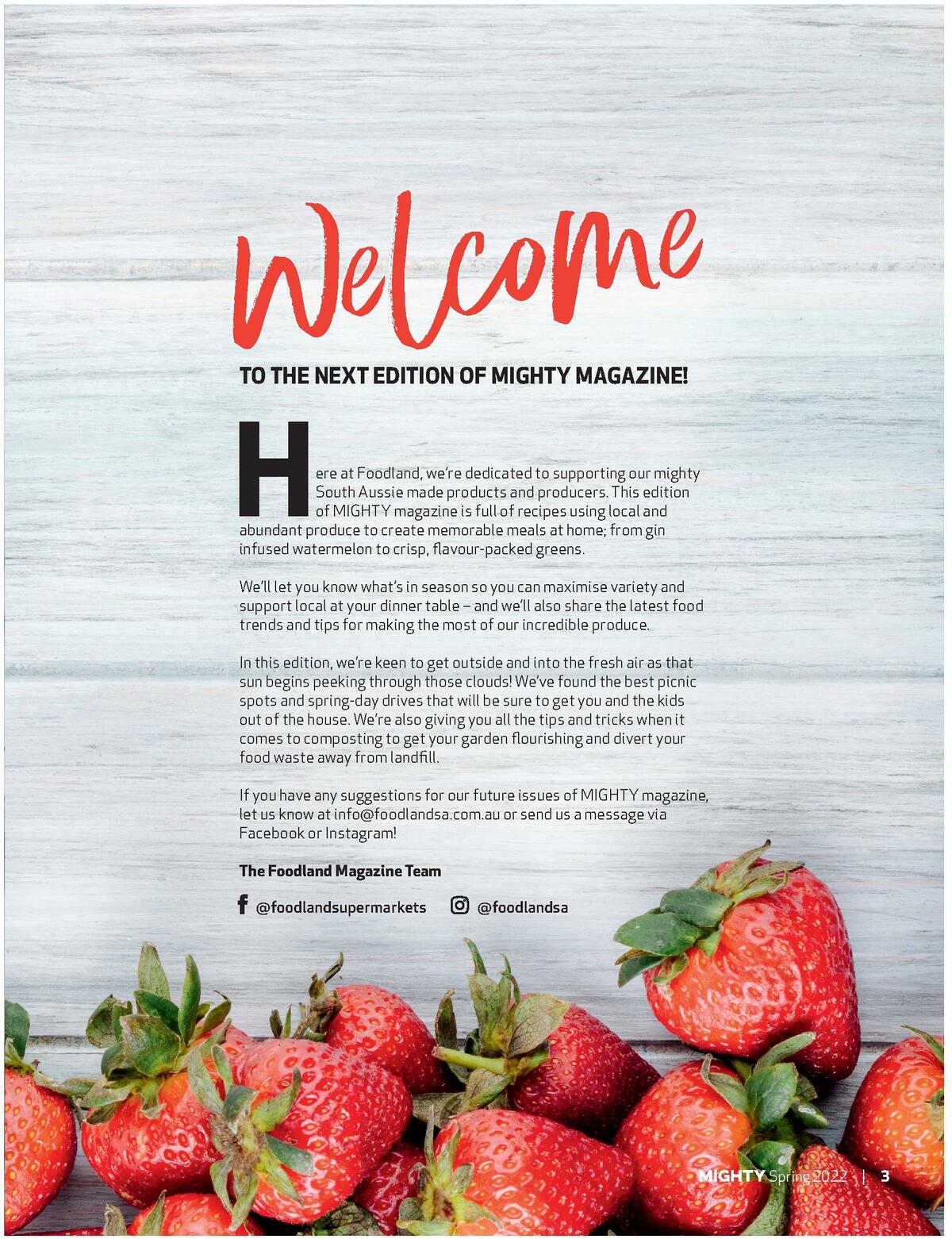 Foodland Magazine Spring Catalogues from 10 October