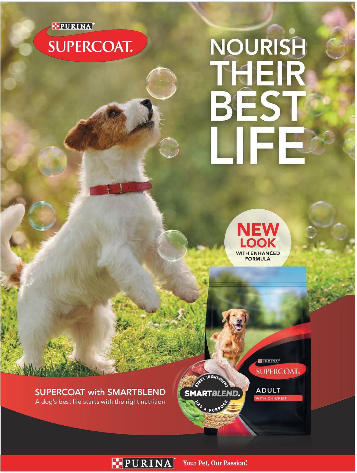 Foodland Magazine Spring Catalogues from 10 October