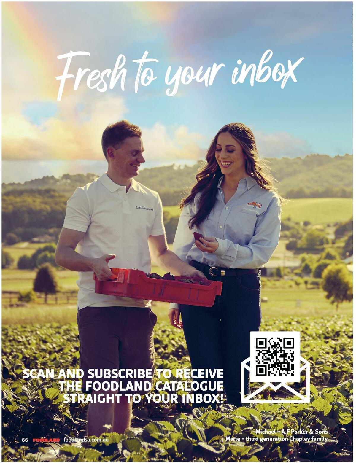 Foodland Magazine Summer Catalogues from 29 November