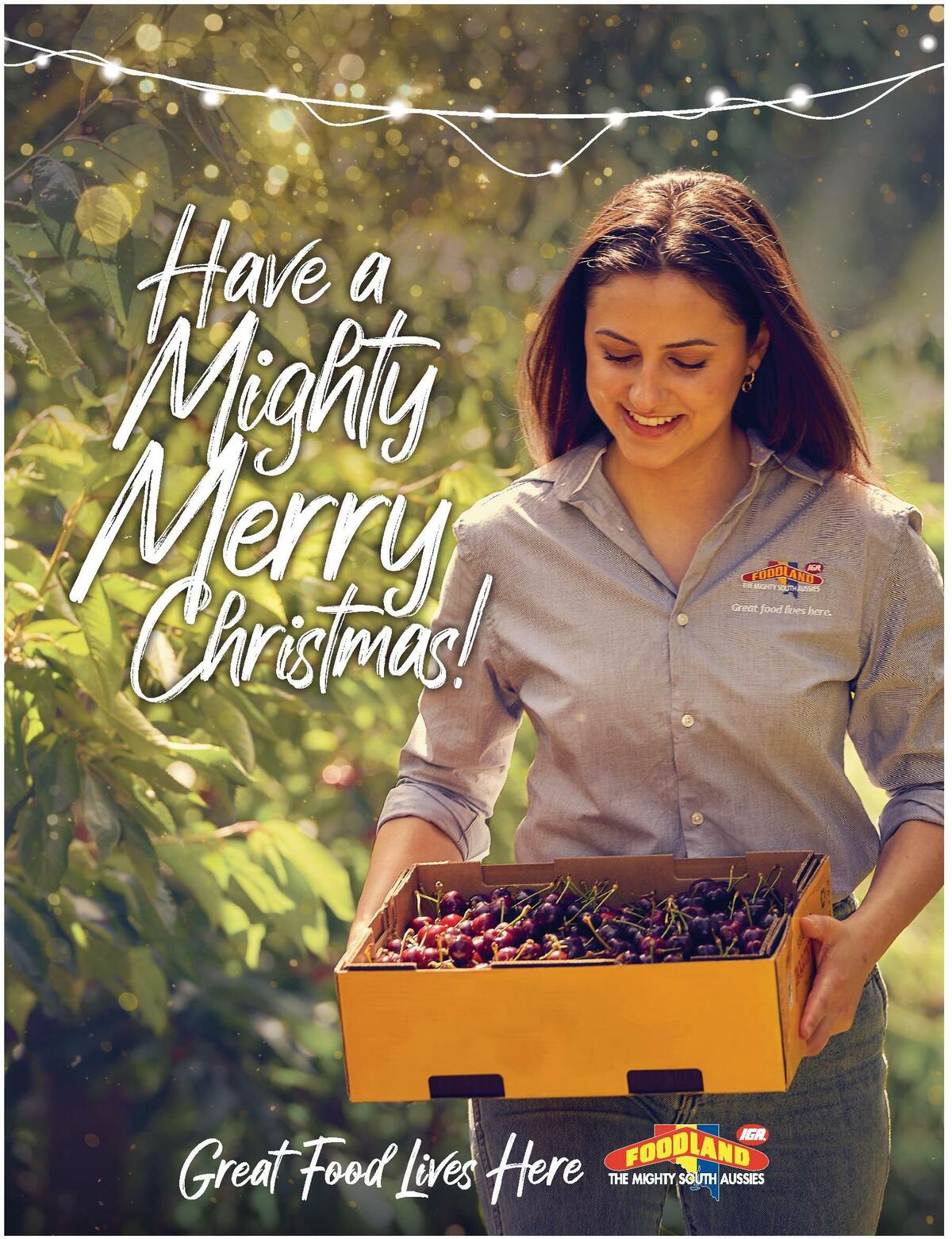 Foodland Magazine Summer Catalogues from 29 November