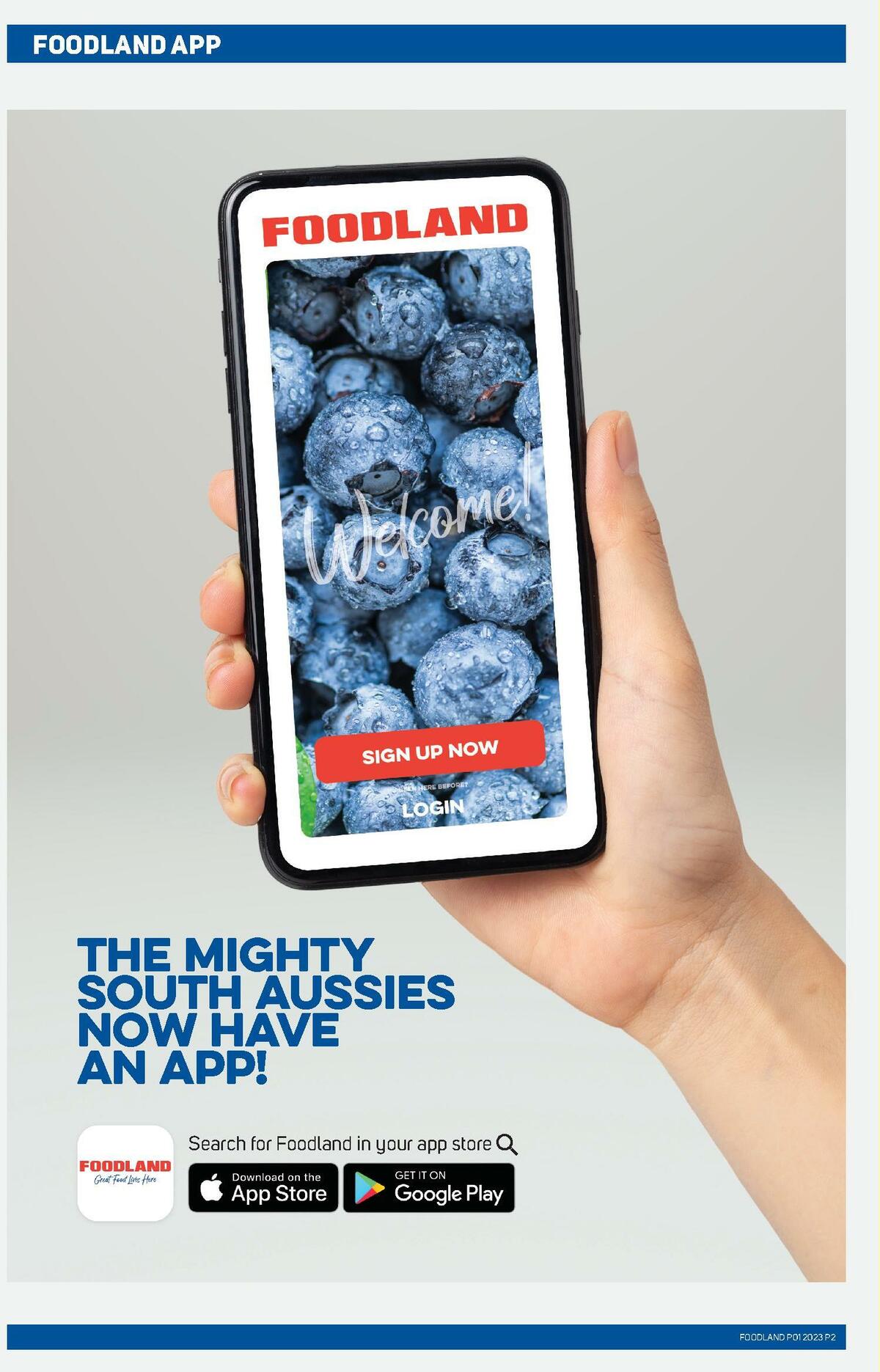 Foodland Catalogues from 4 January