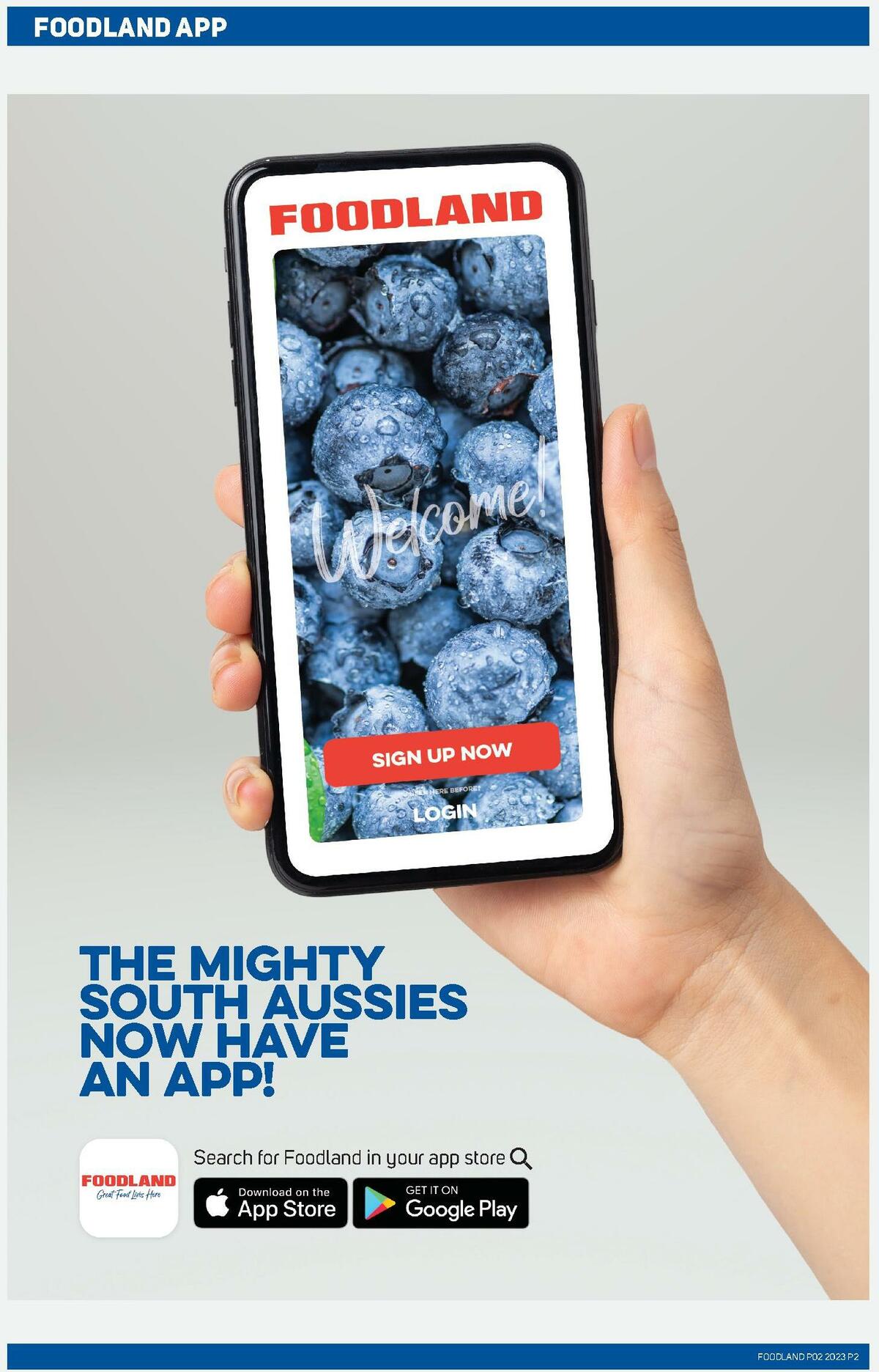 Foodland Catalogues from 11 January