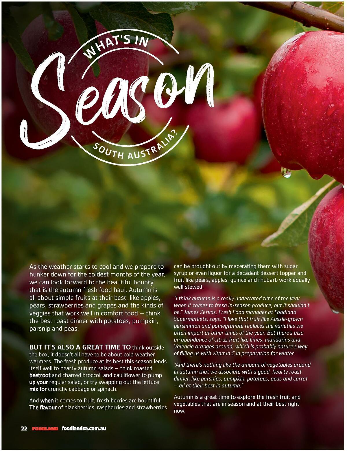Foodland Magazine Autumn Catalogues from 1 March