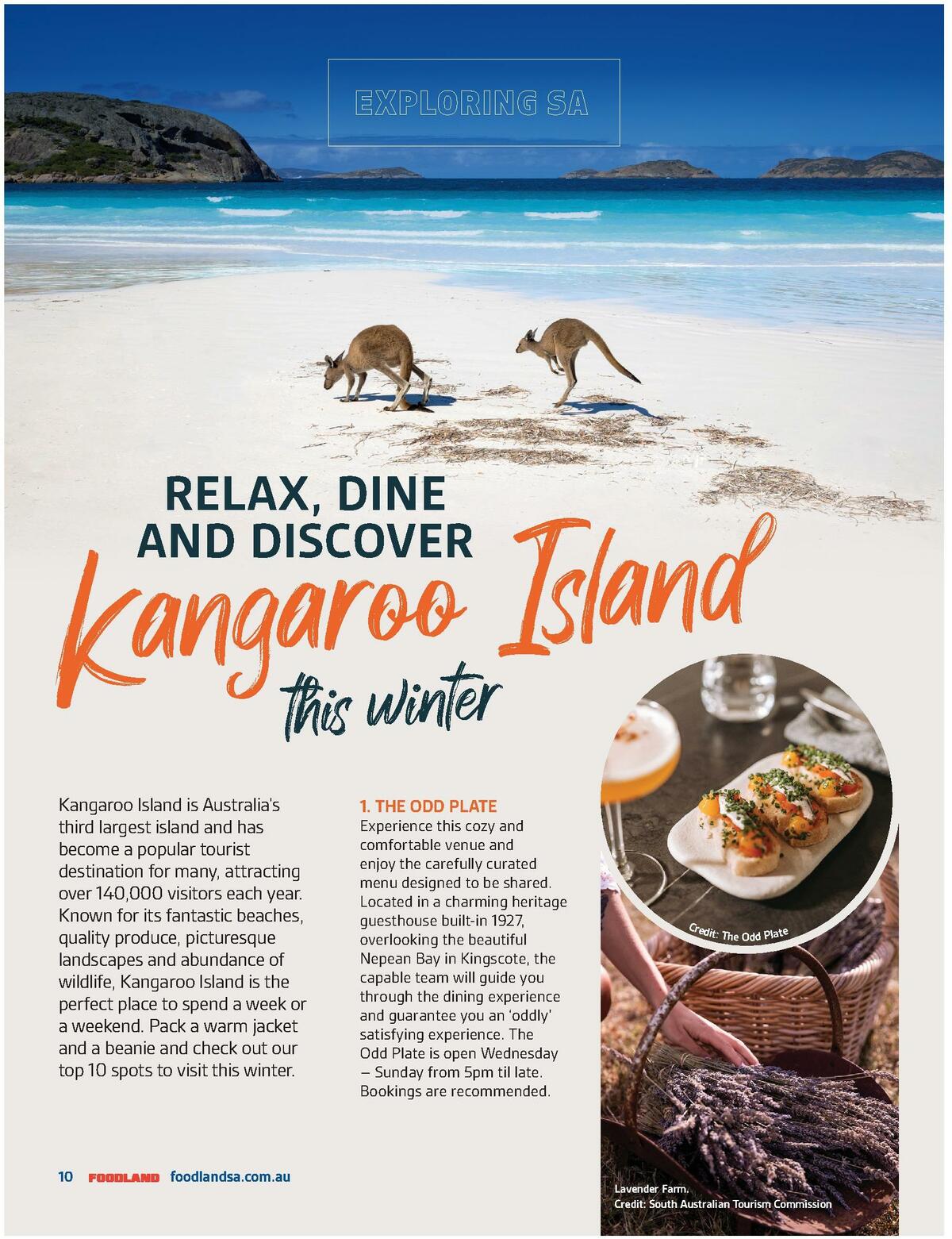 Foodland Magazine Winter Catalogues from 1 June