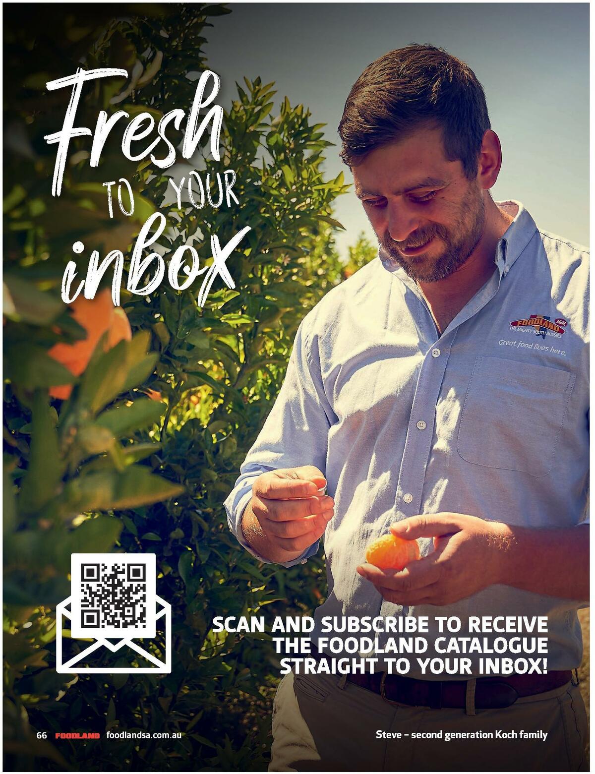 Foodland Magazine Winter Catalogues from 1 June