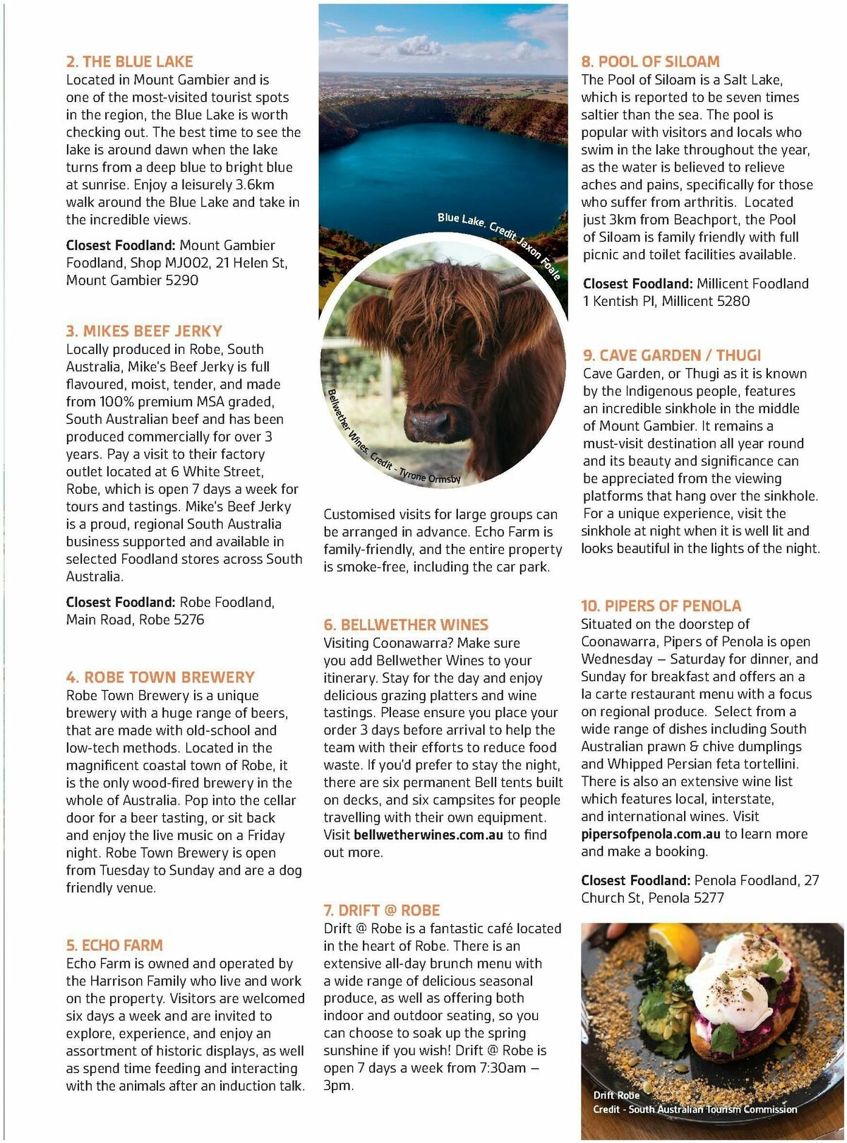 Foodland Magazine Spring Catalogues from 1 September