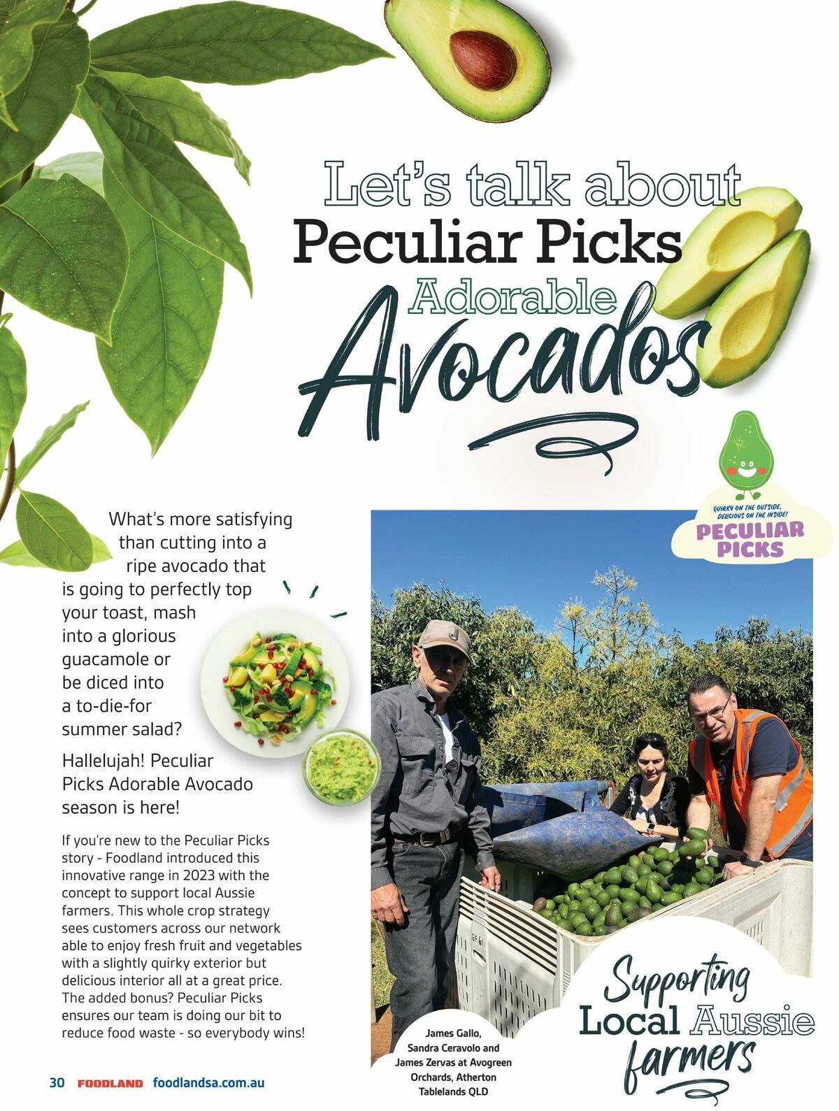 Foodland Magazine Summer Catalogues from 1 December