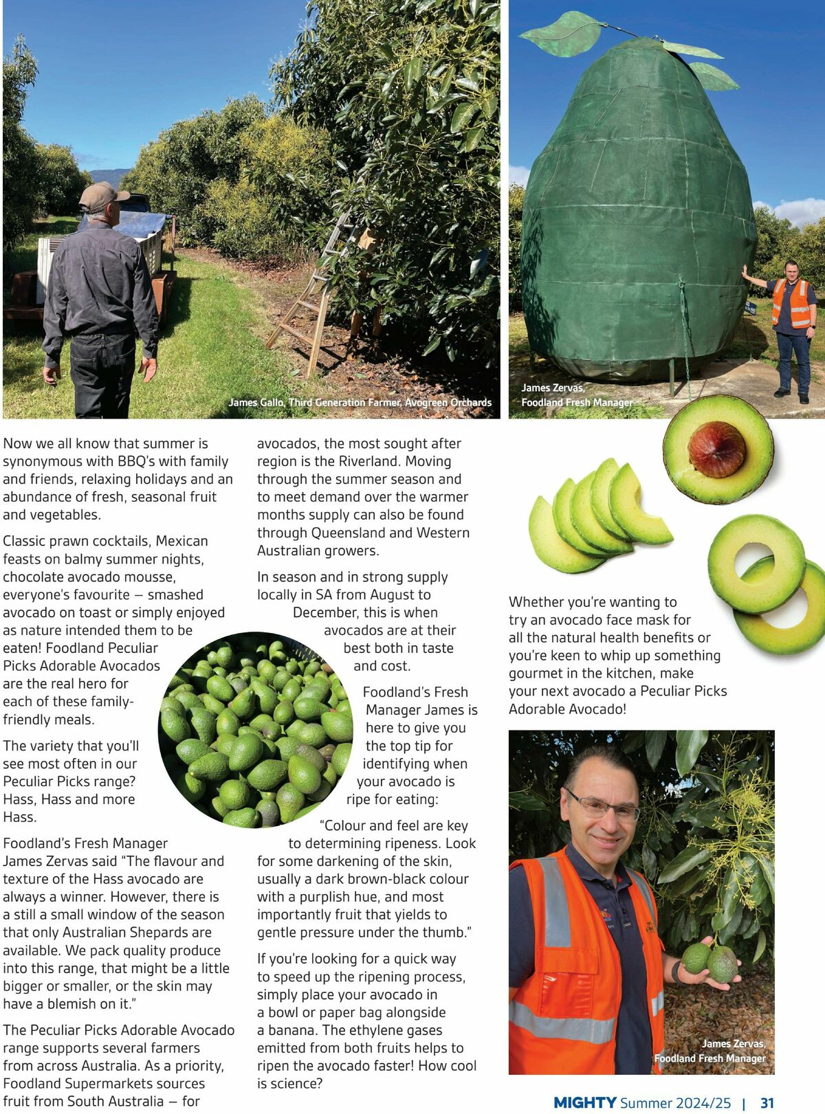 Foodland Magazine Summer Catalogues from 1 December