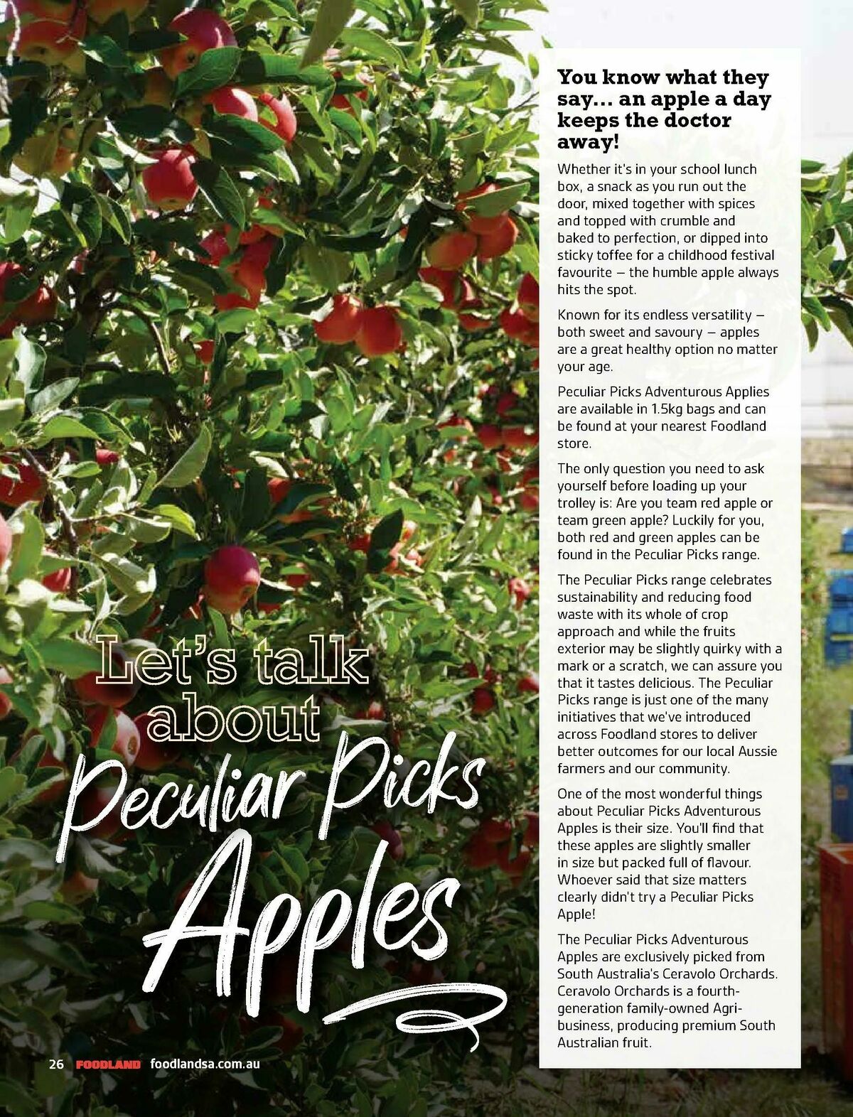 Foodland Magazine Autumn Catalogues from 10 March