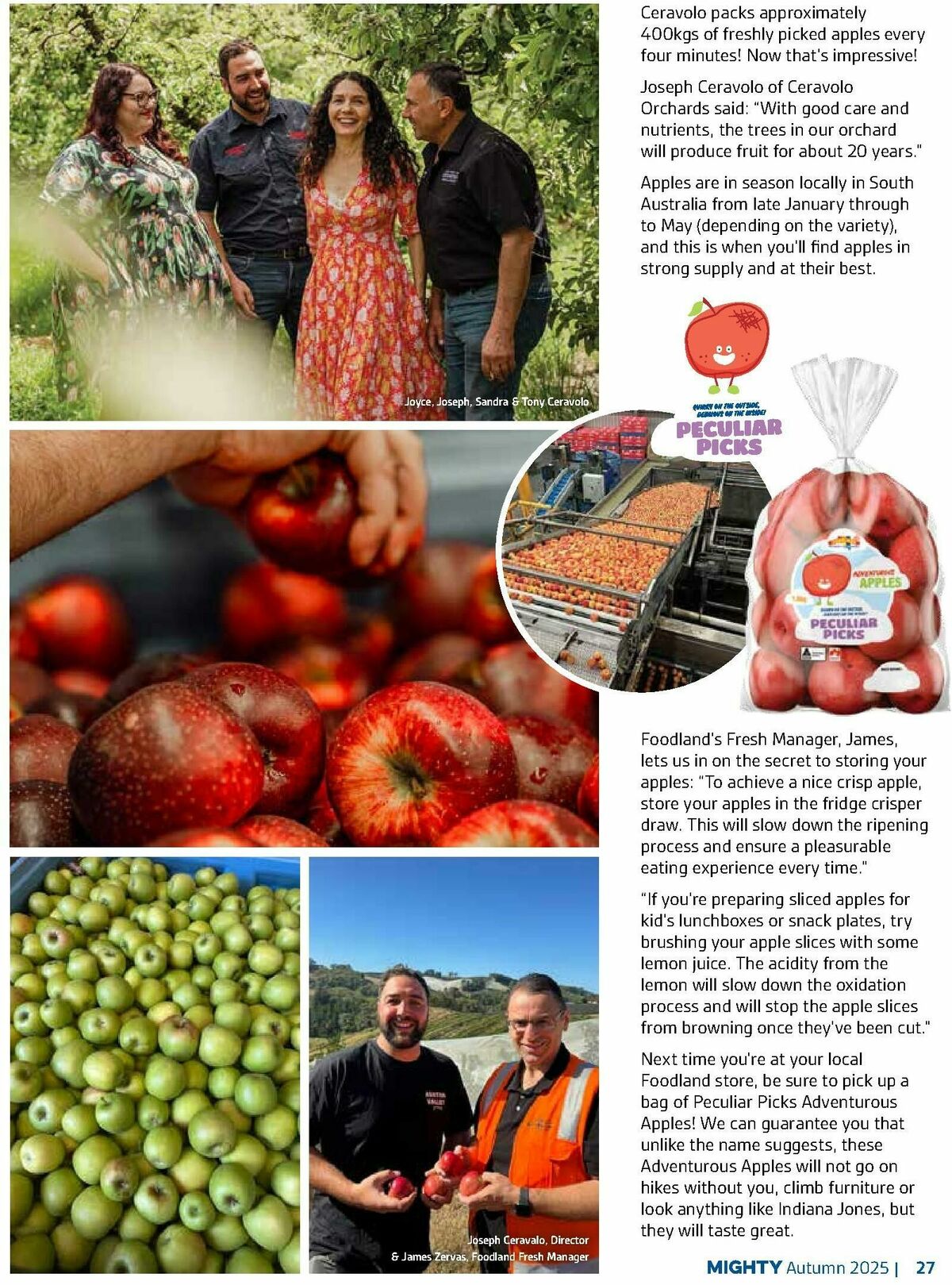 Foodland Magazine Autumn Catalogues from 10 March