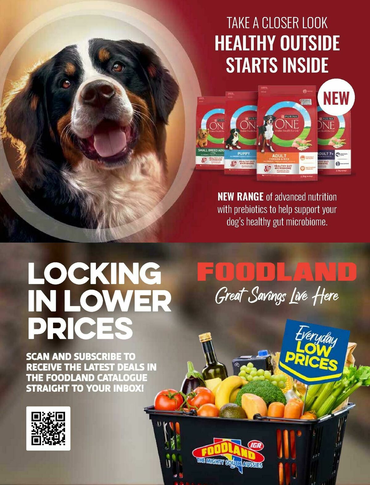 Foodland Magazine Autumn Catalogues from 10 March