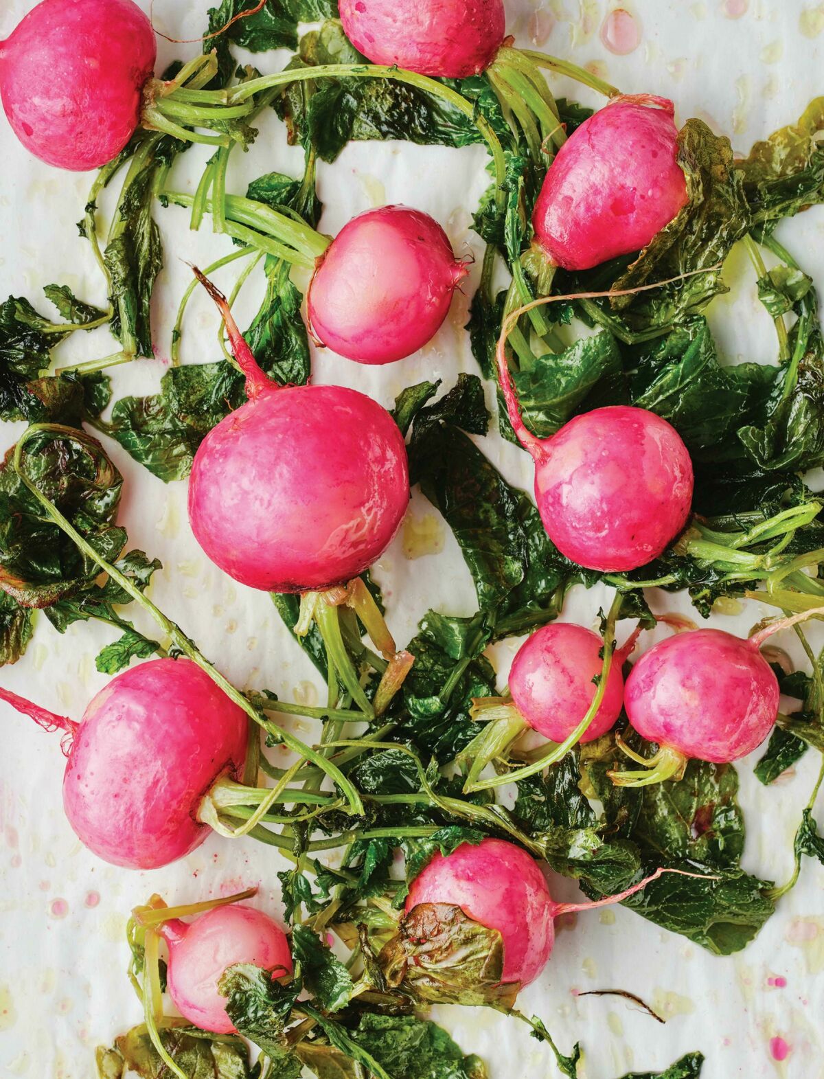 Foodland Magazine Spring Catalogues from 1 September