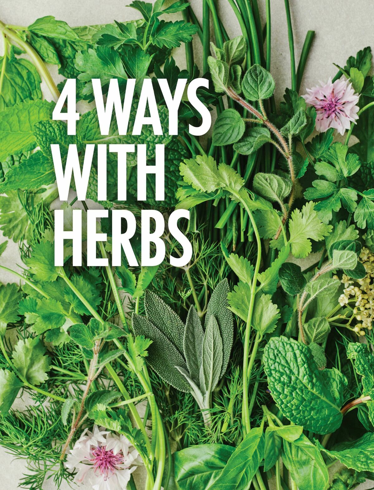 Foodland Magazine Spring Catalogues from 1 September