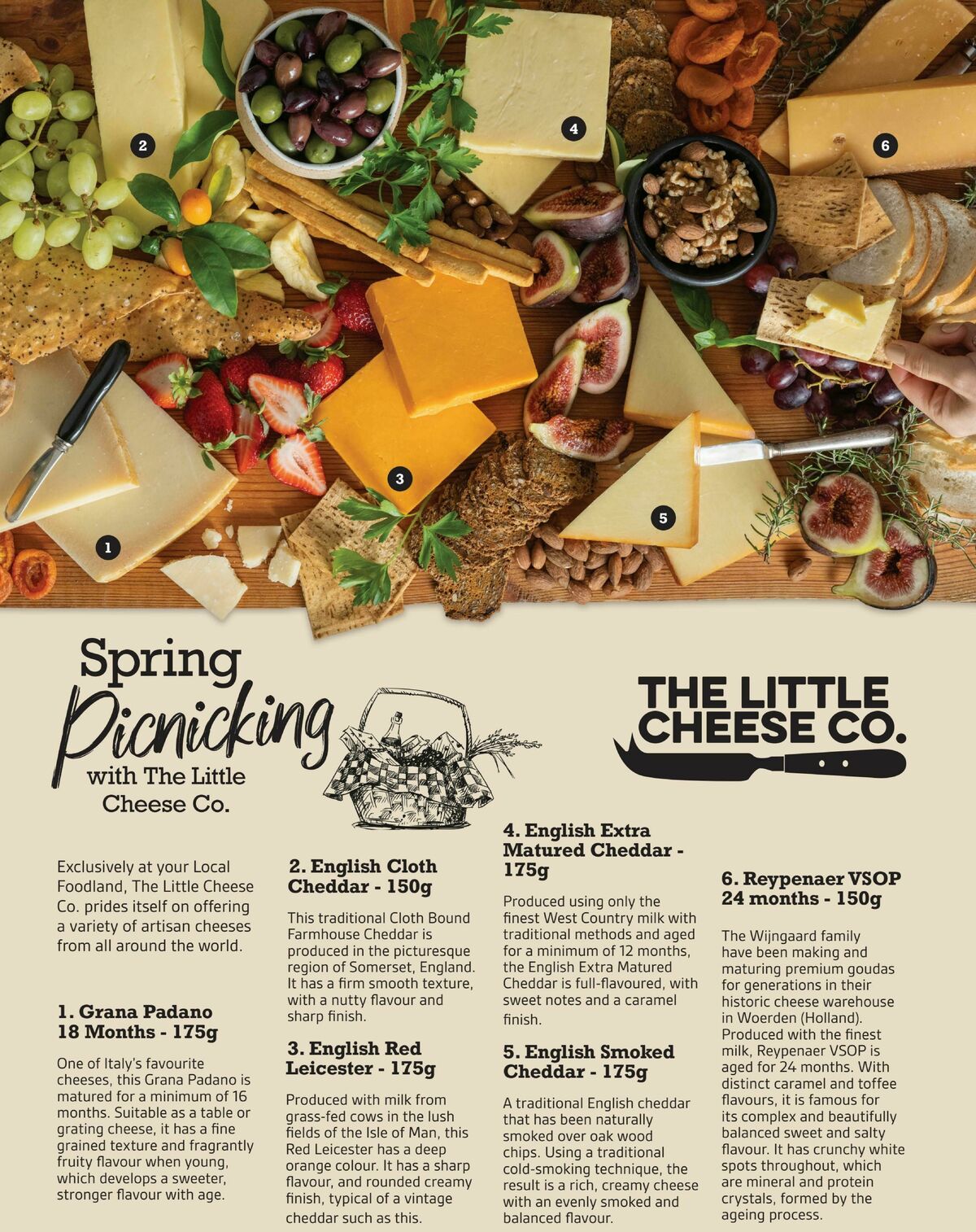 Foodland Magazine Spring Catalogues from 1 September