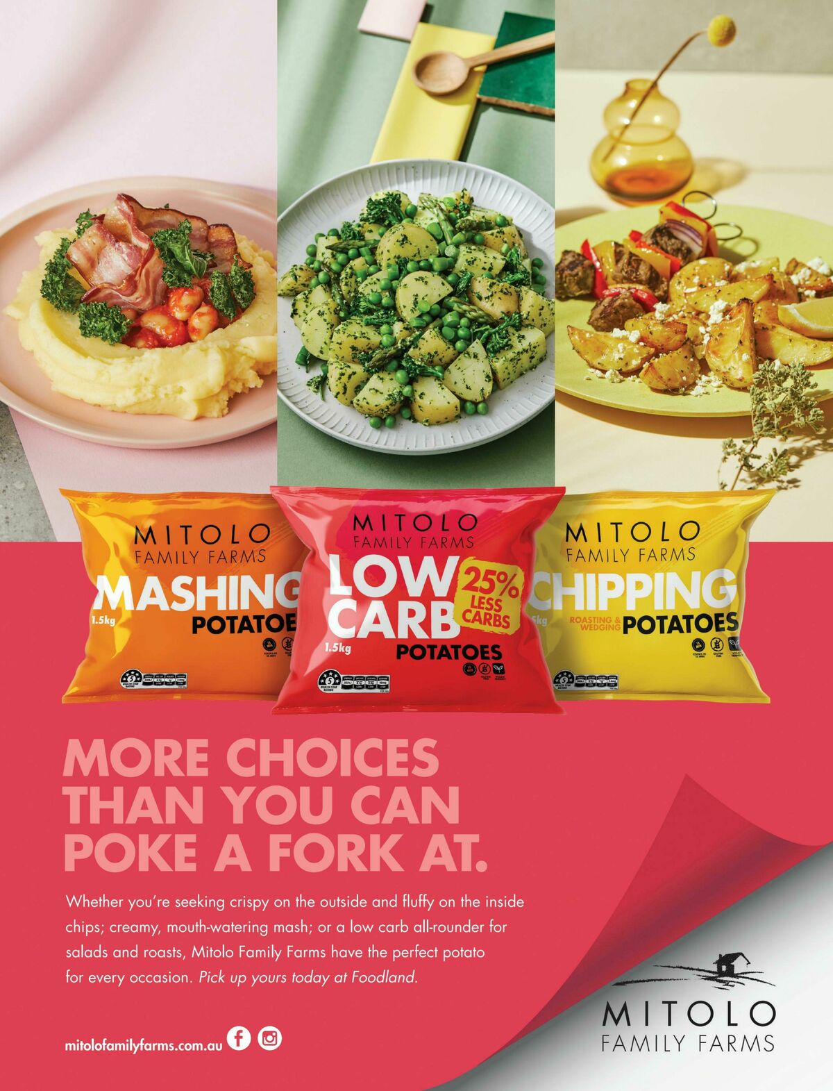 Foodland Magazine Spring Catalogues from 1 September