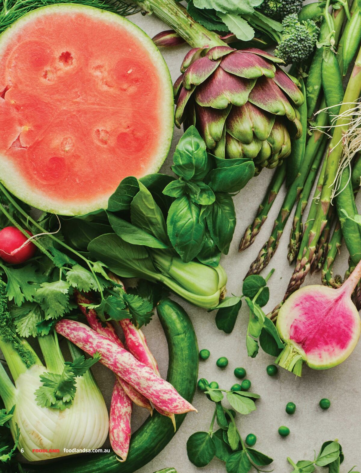 Foodland Magazine Spring Catalogues from 1 September