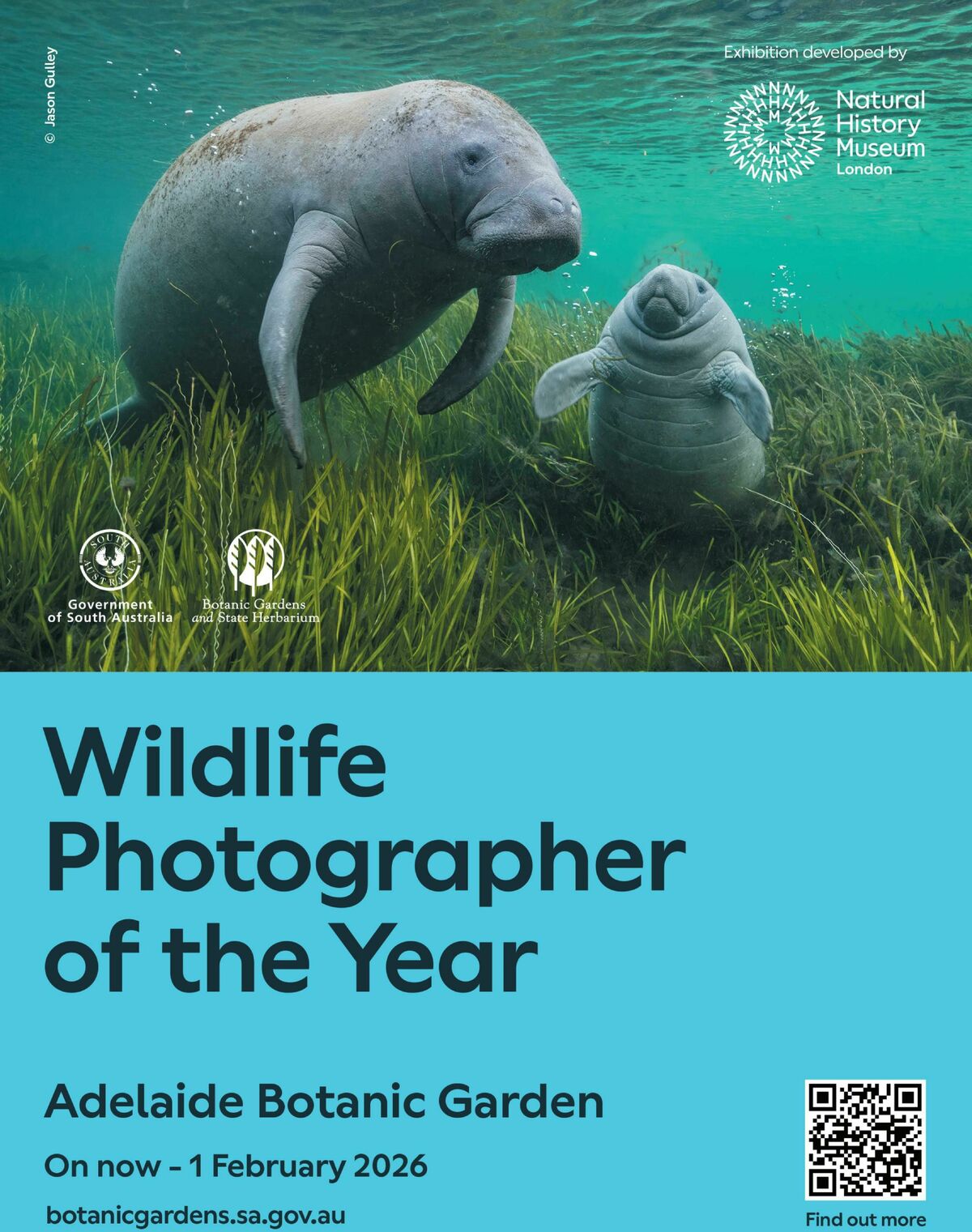 Foodland Mighty Magazine - Summer Catalogues from 1 December