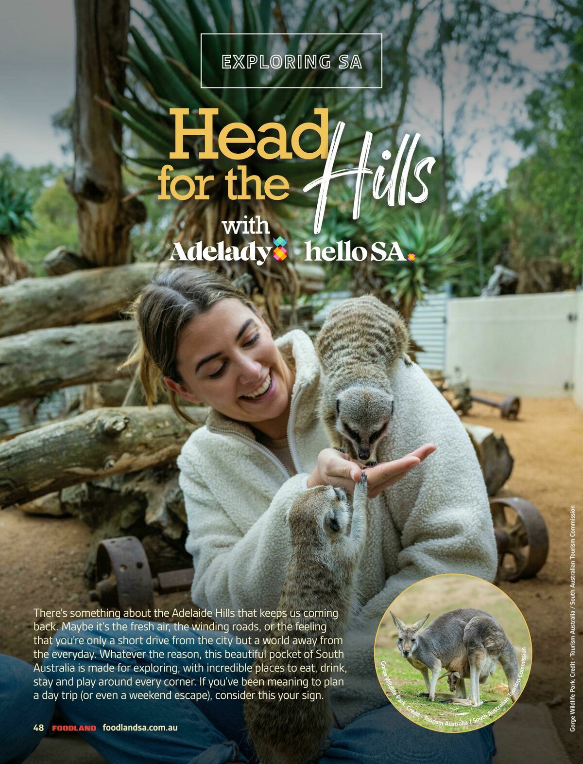 Foodland Magazine Autumn Catalogues from 1 March