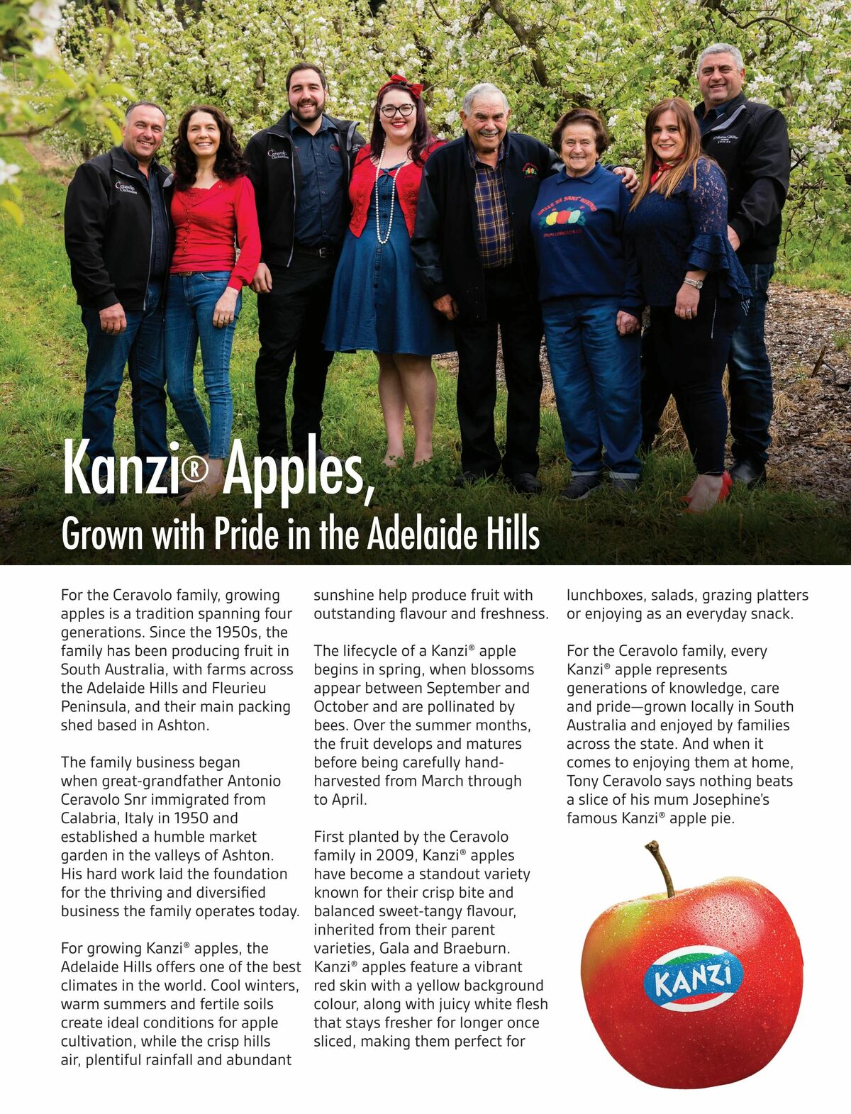 Foodland Mighty Magazine - Winter Catalogues from 1 June