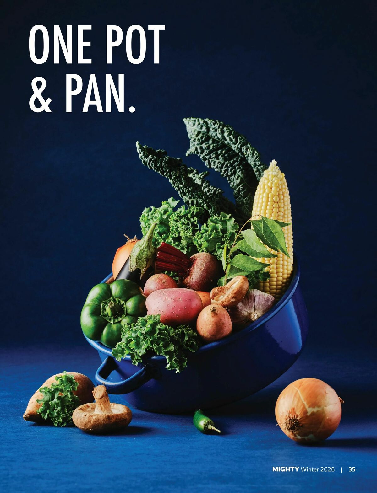 Foodland Mighty Magazine - Winter Catalogues from 1 June