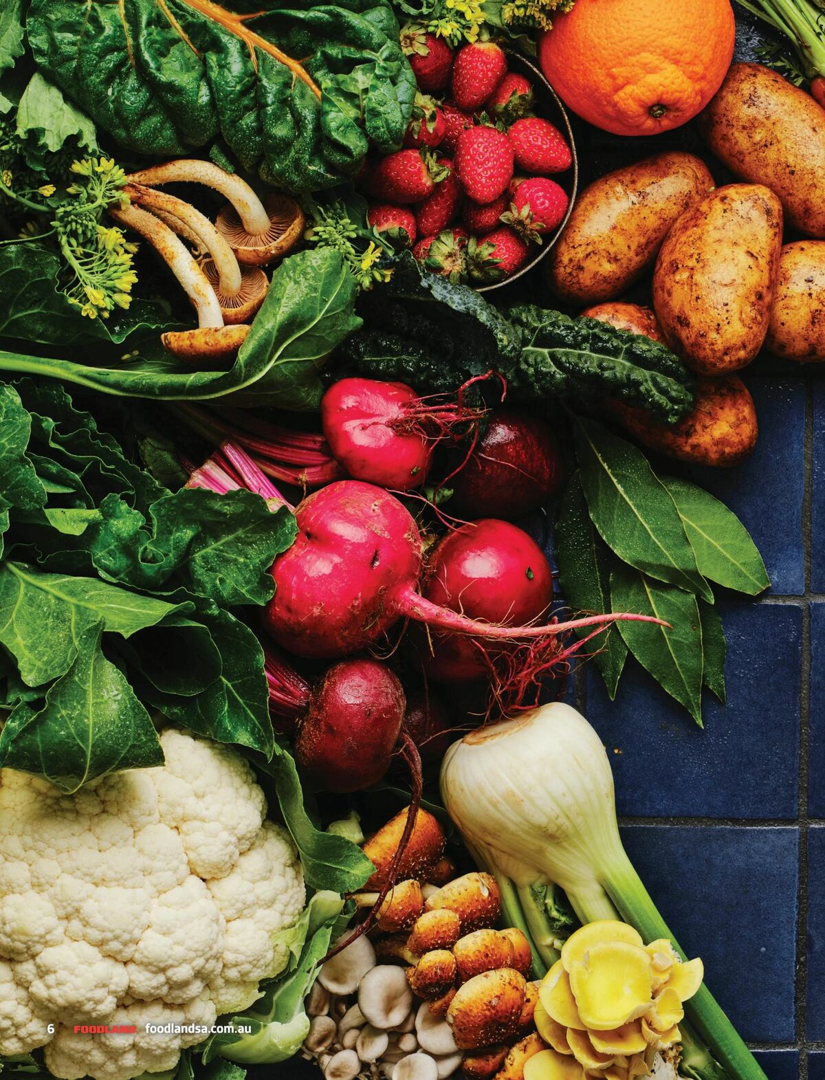 Foodland Mighty Magazine - Winter Catalogues from 1 June