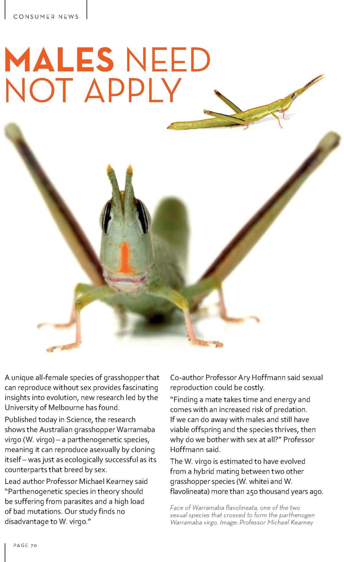 FoodWorks Magazine August/September Catalogues from 1 August