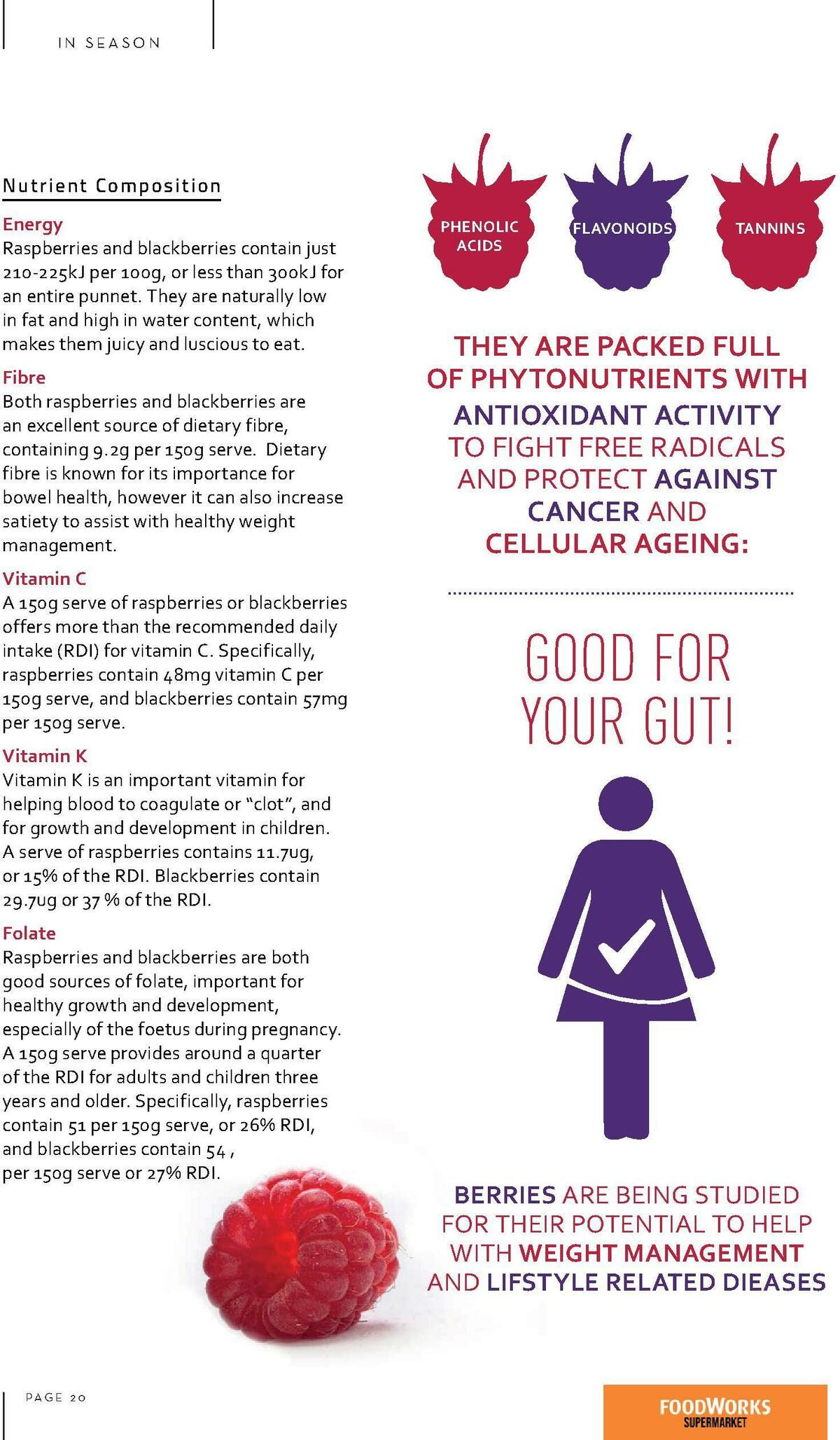 FoodWorks Magazine December Catalogues from 1 December