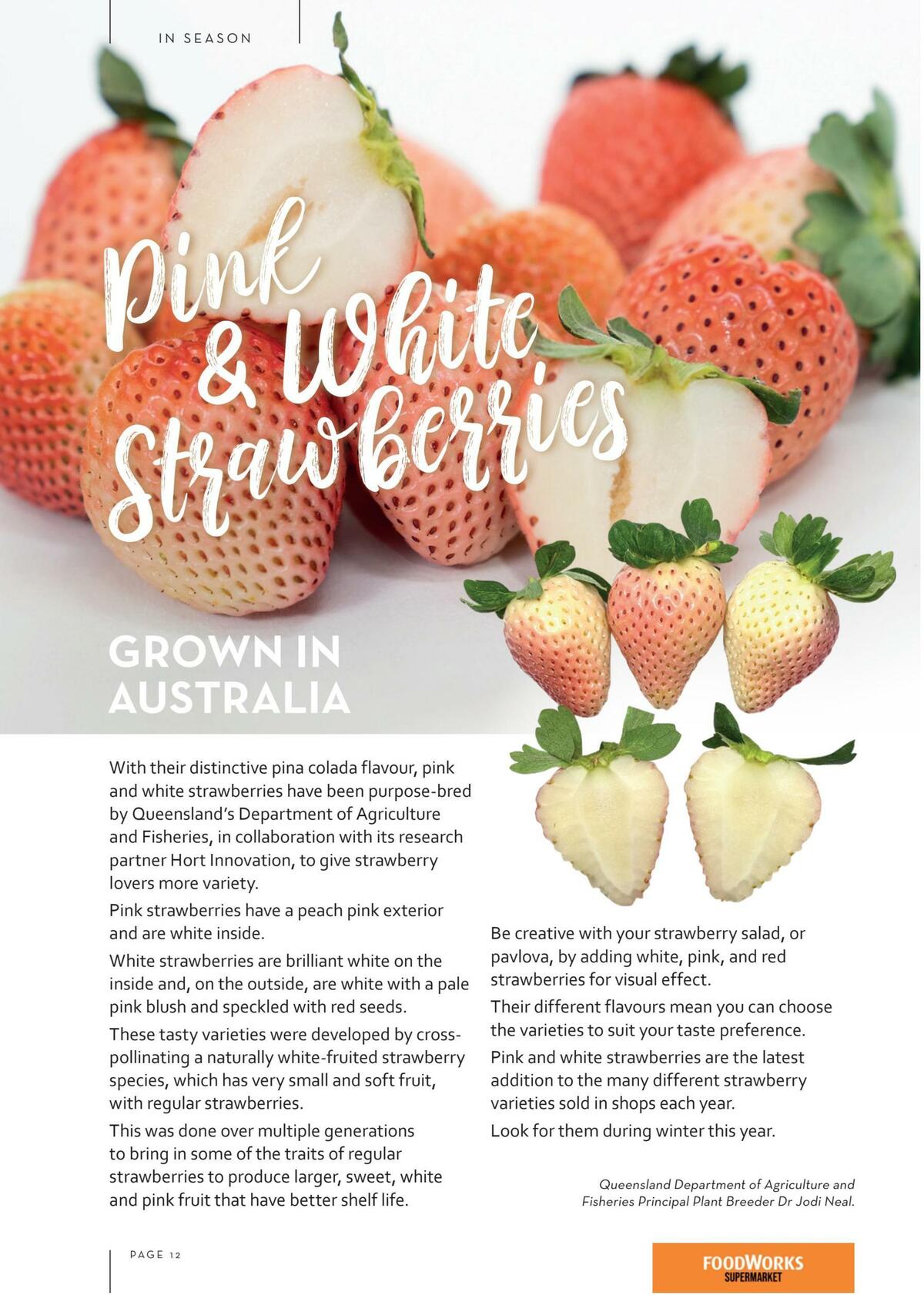 FoodWorks Magazine January/February Catalogues from 1 January