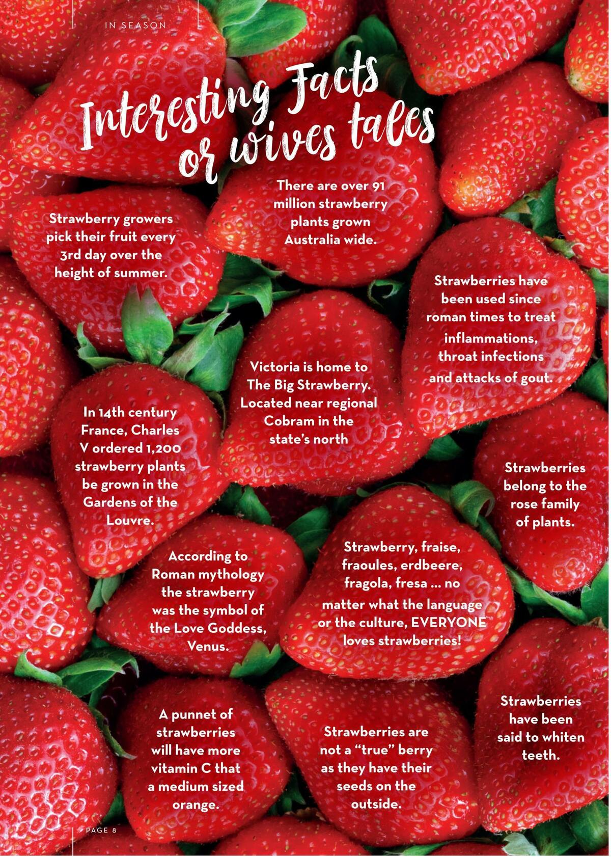 FoodWorks Magazine January/February Catalogues from 1 January