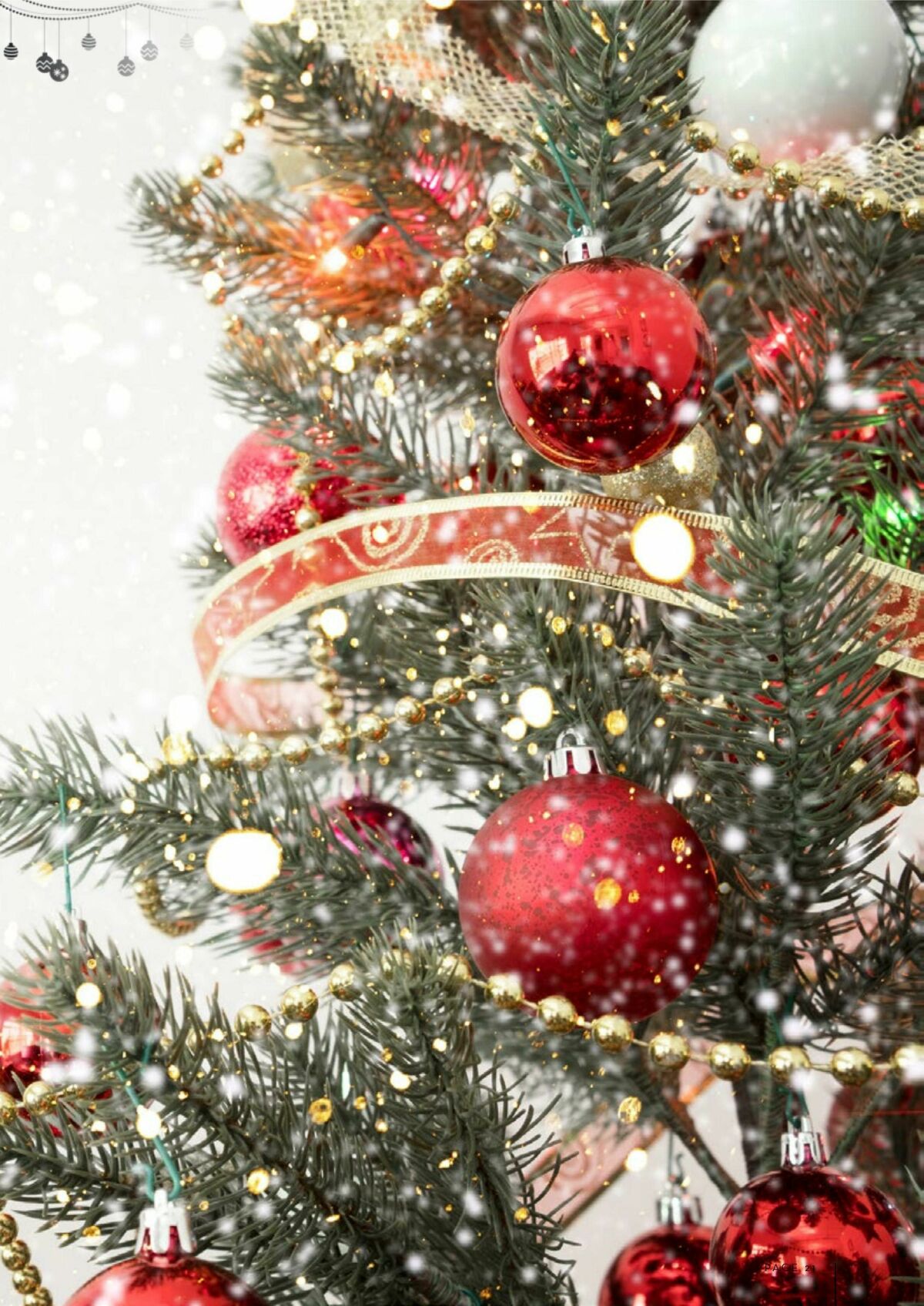 FoodWorks Magazine December Catalogues from 1 December