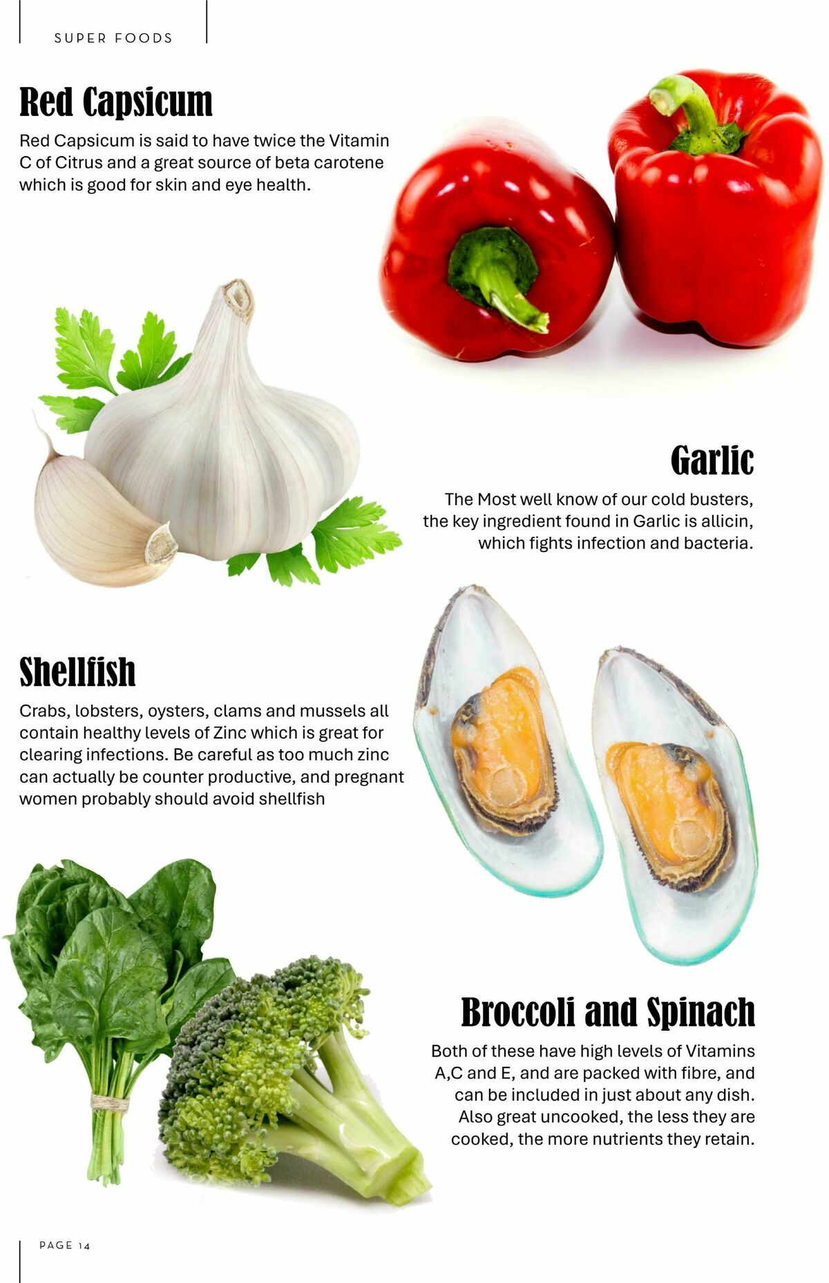 FoodWorks Magazine June/July Catalogues from 1 June