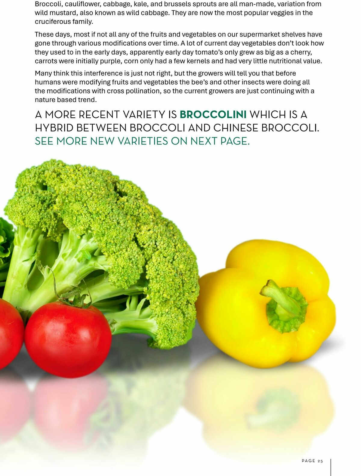 FoodWorks Magazine June/July Catalogues from 1 June