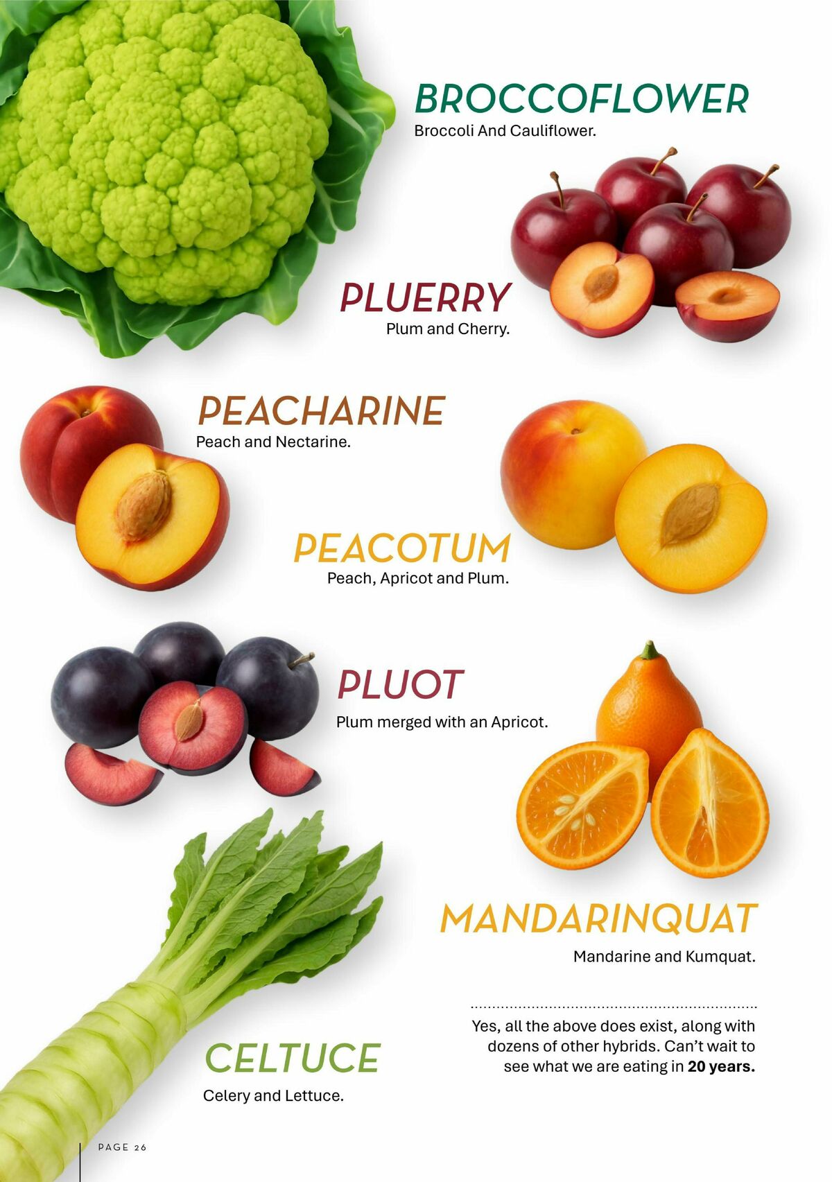 FoodWorks Magazine June/July Catalogues from 1 June