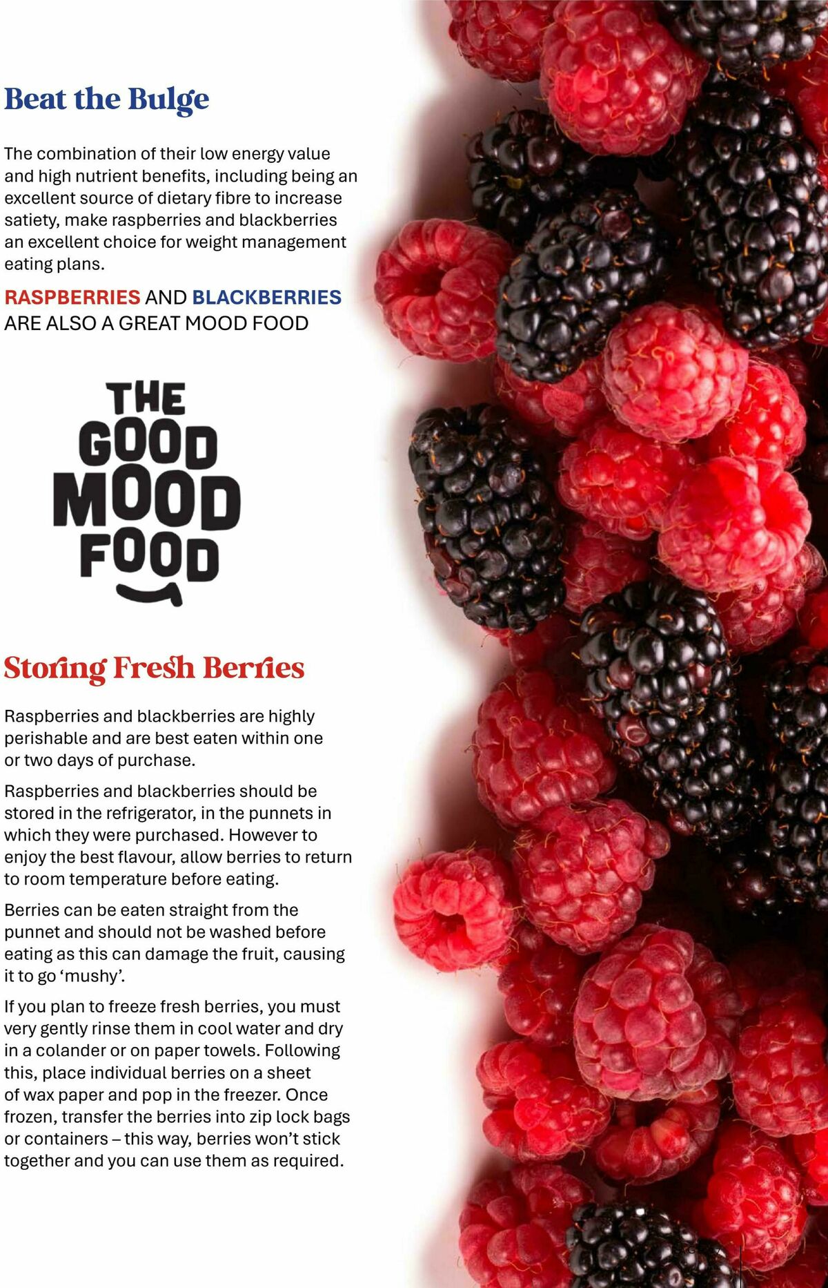 FoodWorks Magazine October/November Catalogues from 1 October