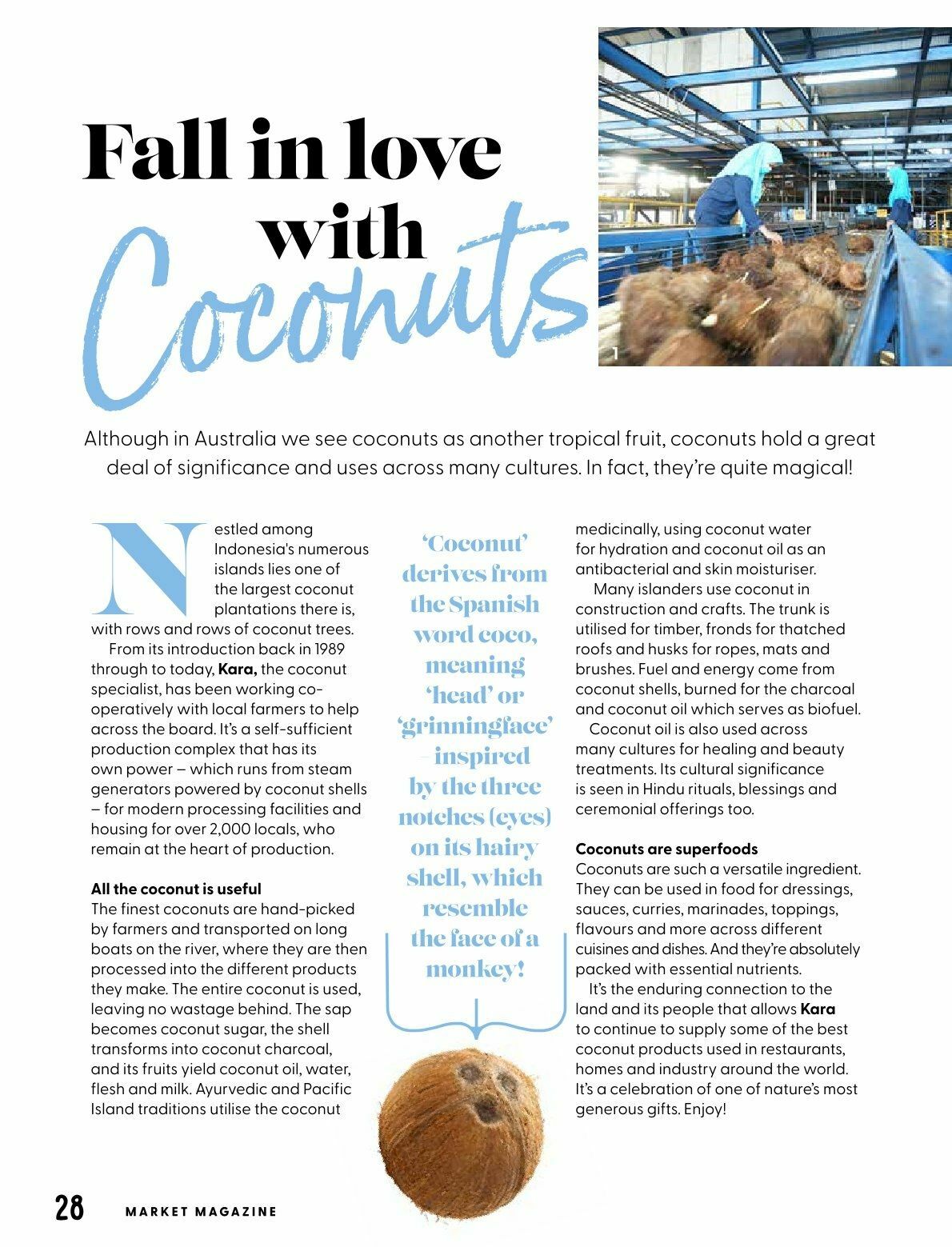 Harris Farm Catalogues from 20 January