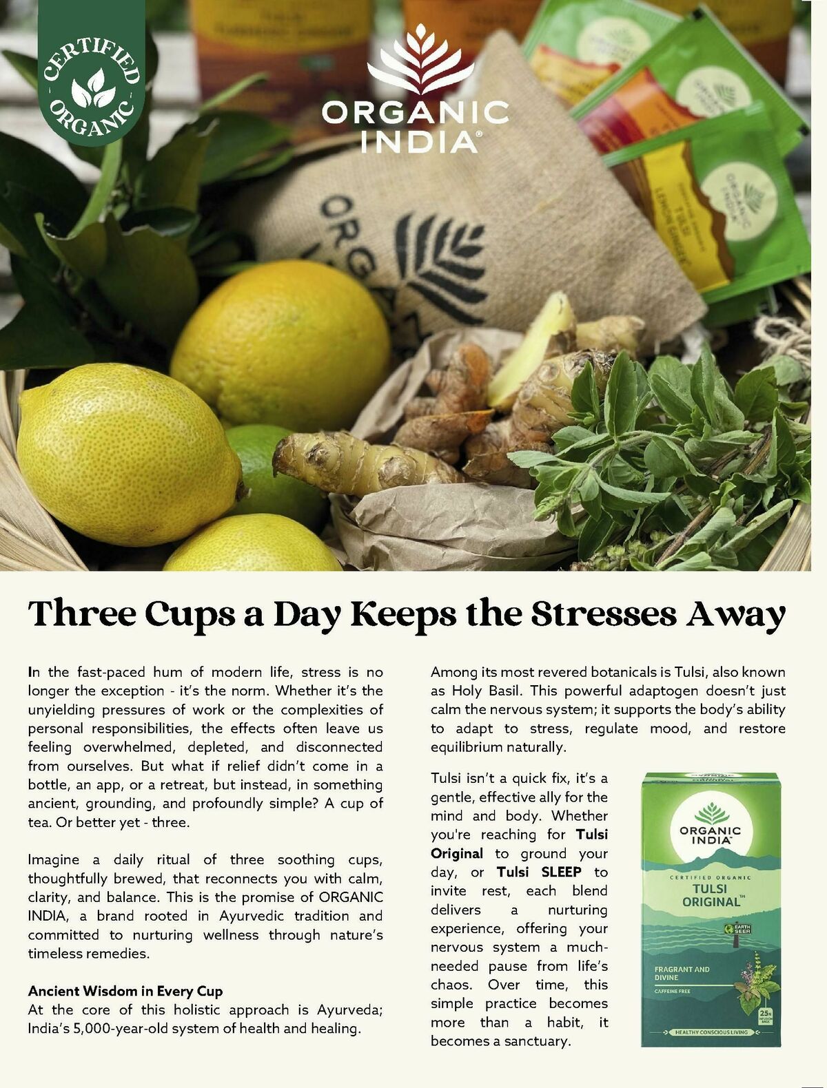 Harris Farm Catalogues from 1 August