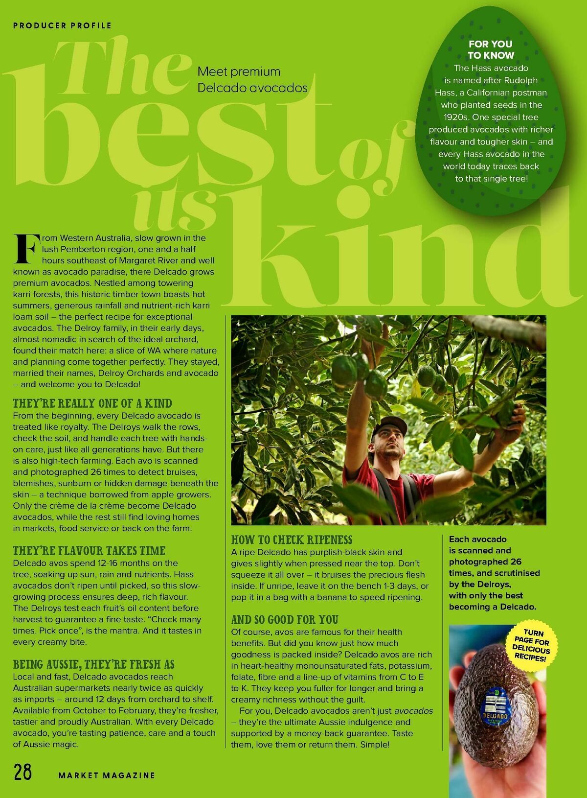 Harris Farm Catalogues from 16 September