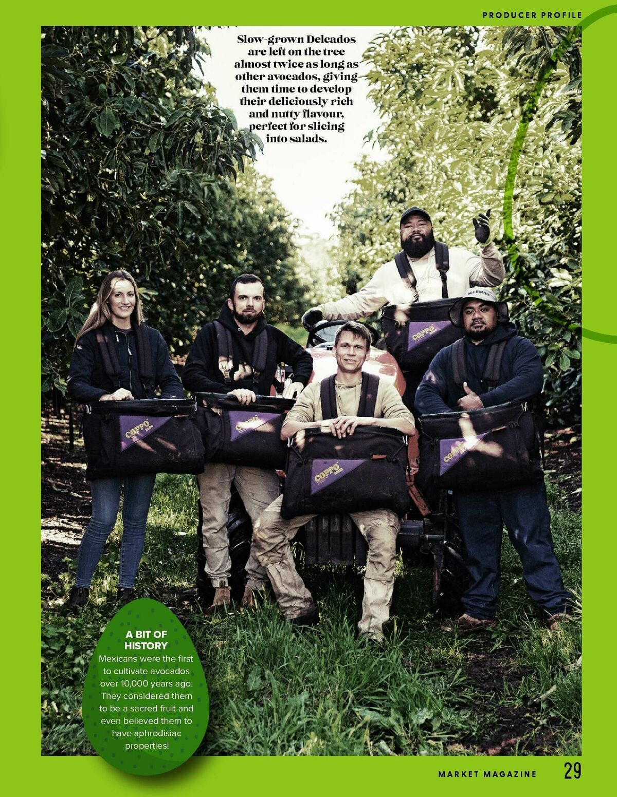 Harris Farm Catalogues from 16 September