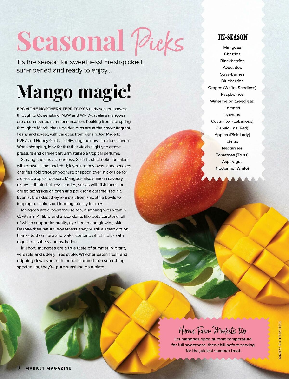 Harris Farm Catalogues from 17 November