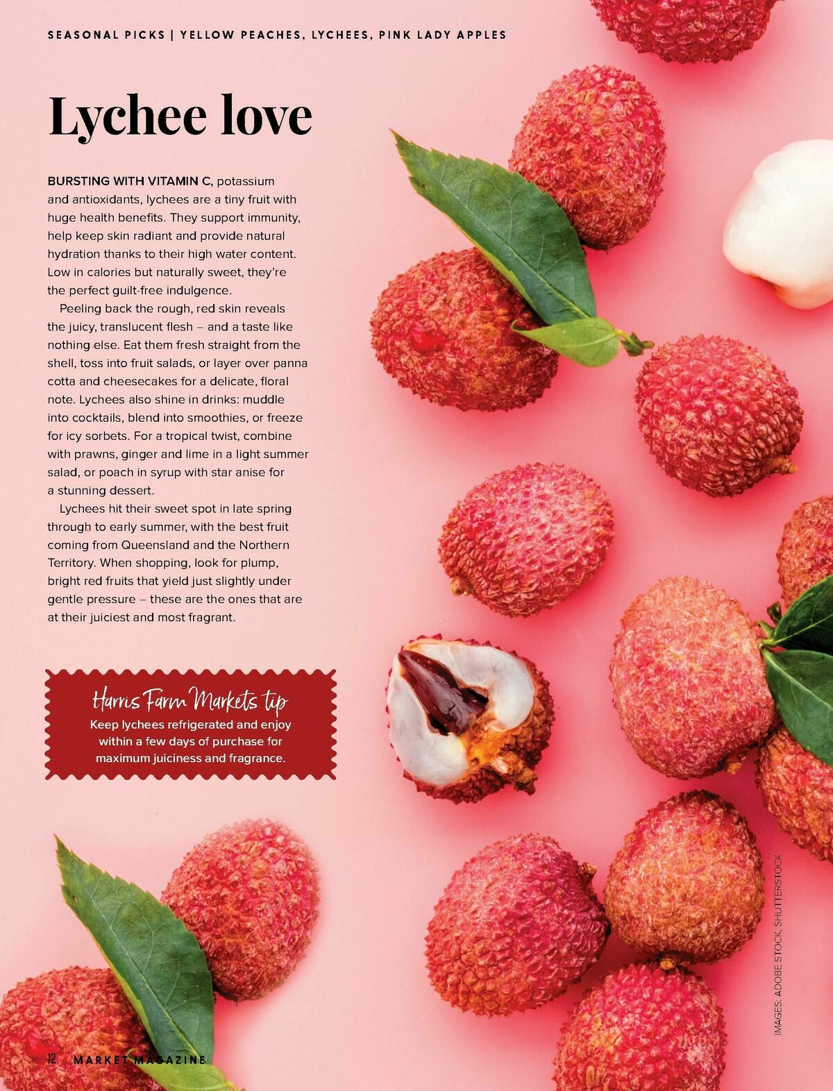 Harris Farm Catalogues from 19 January