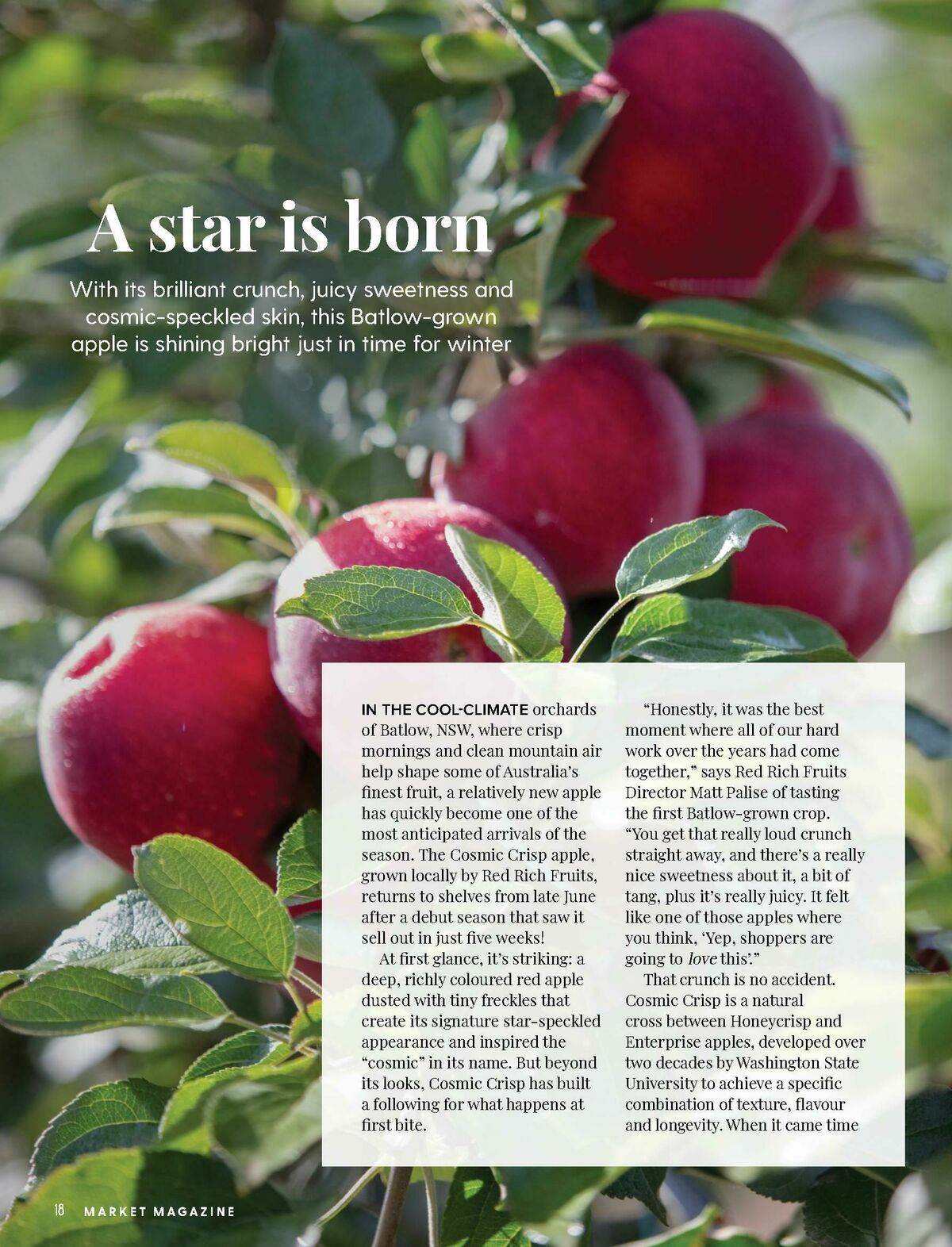 Harris Farm Catalogues from 21 May