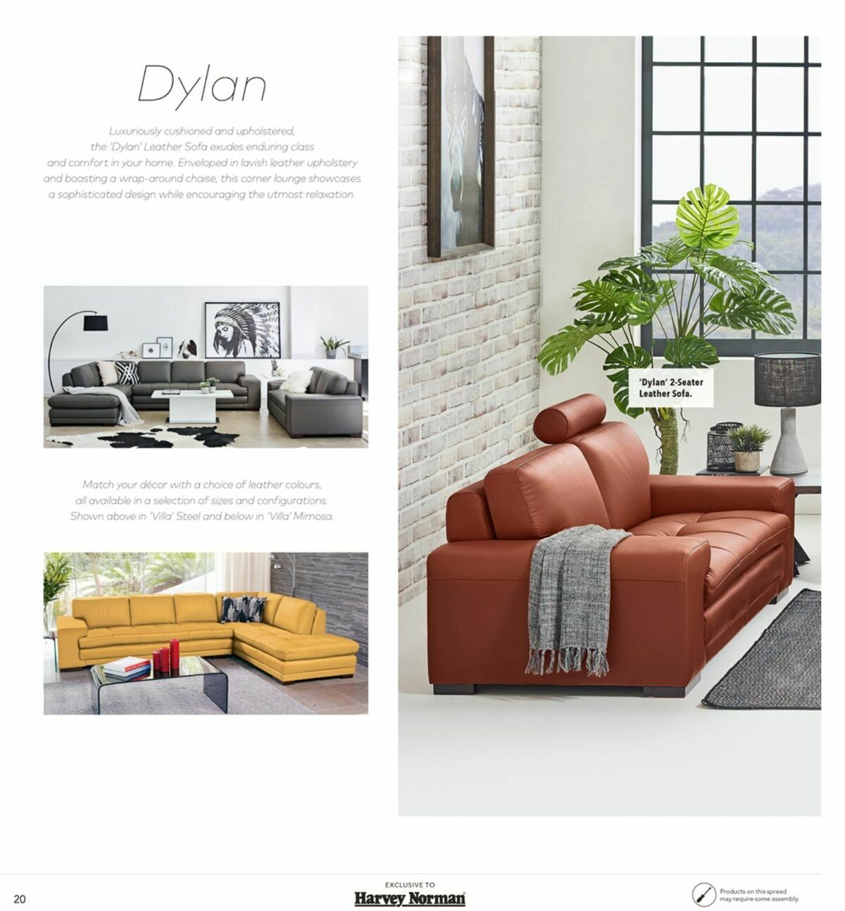 Harvey Norman Lounge & Dining Collections Catalogues from 12 February