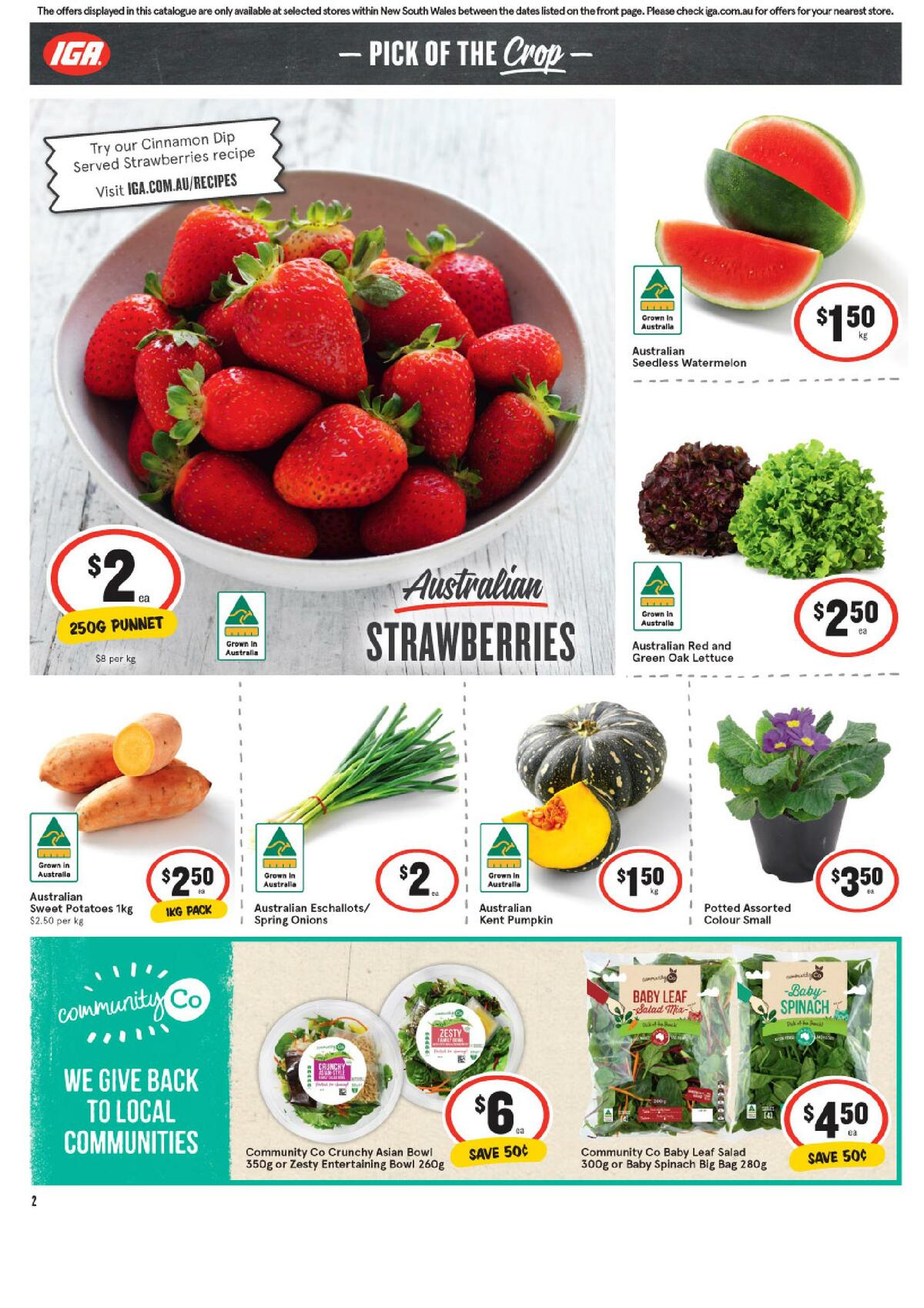 IGA Catalogues from 1 September