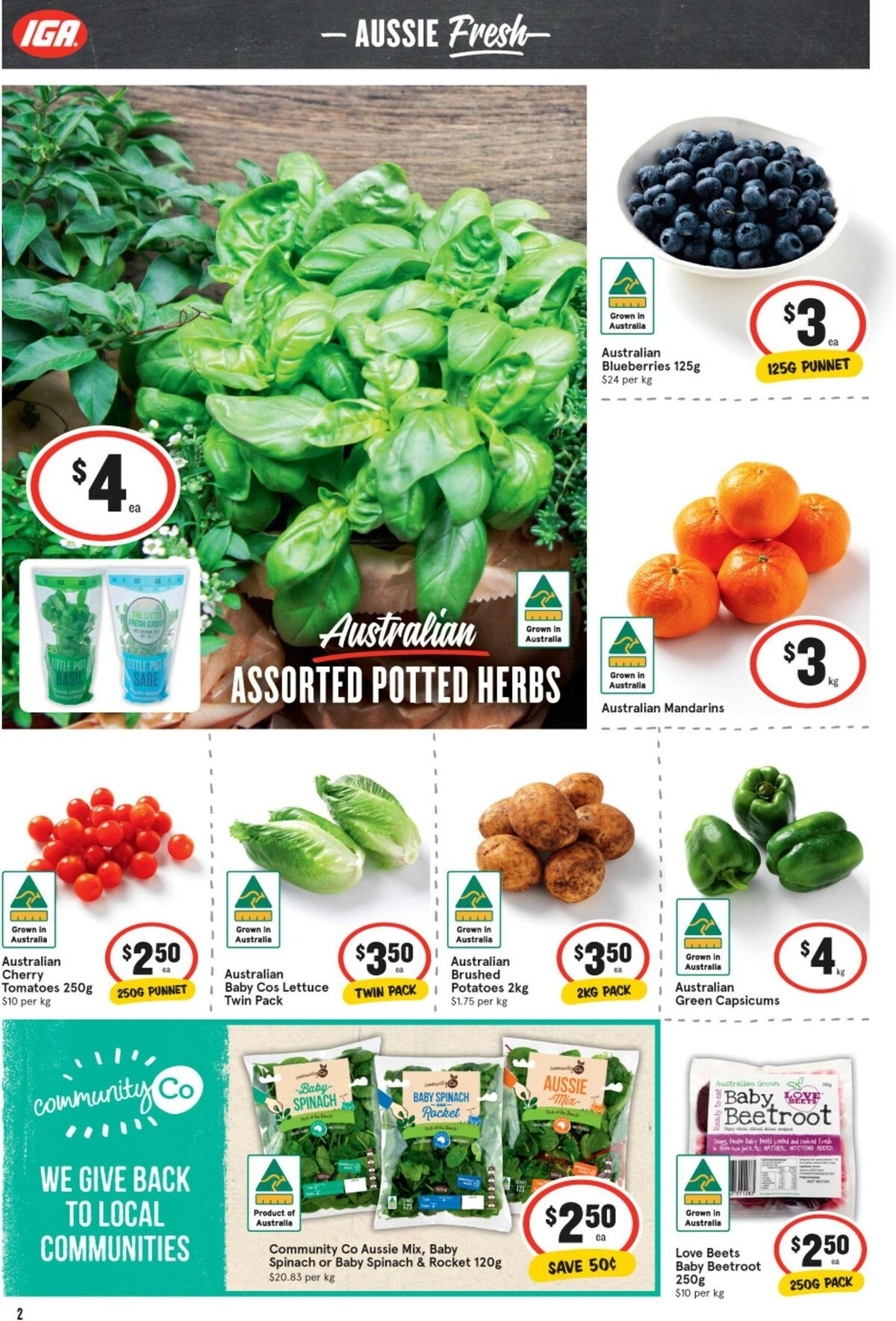 IGA Catalogues from 8 September