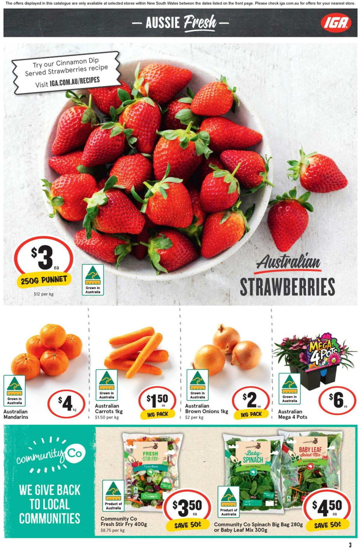 IGA Catalogues from 31 August