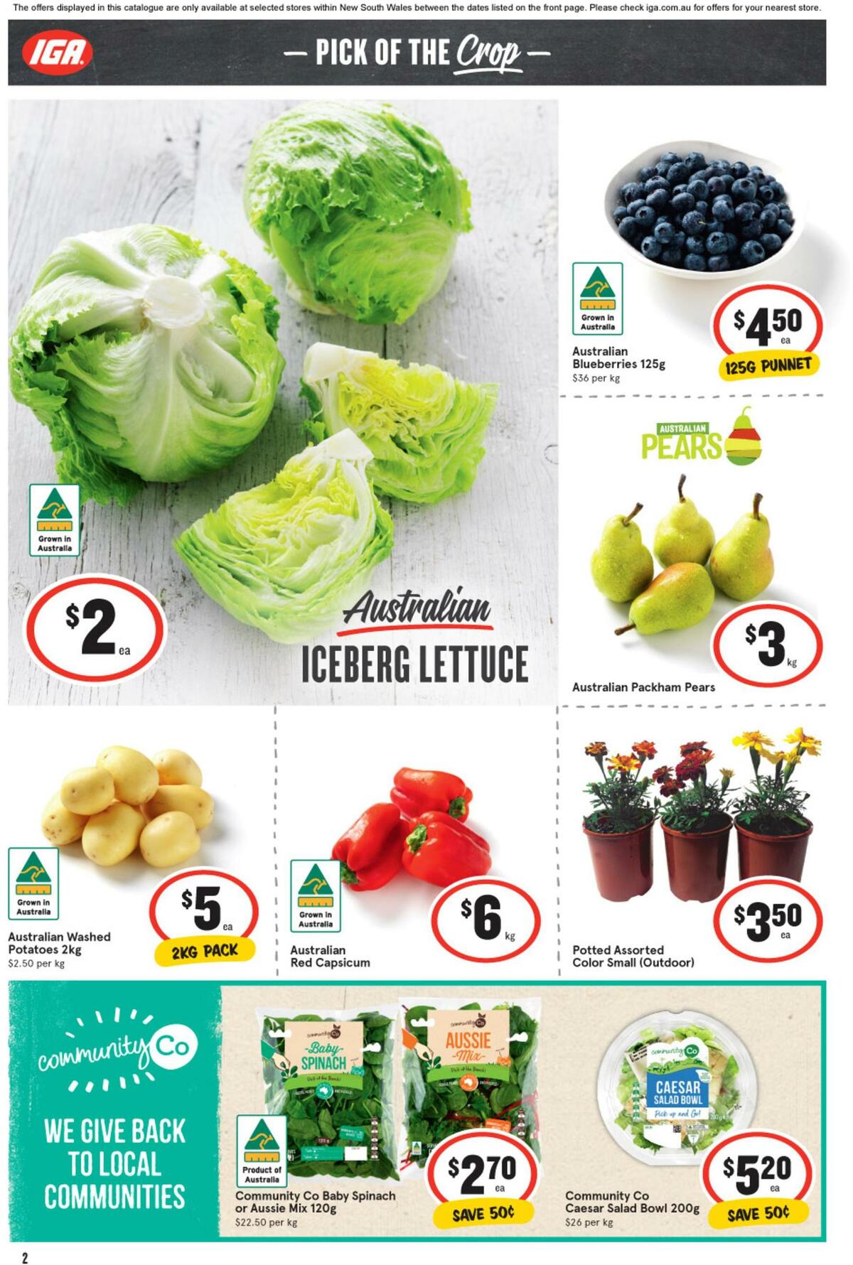 IGA Catalogues from 7 September